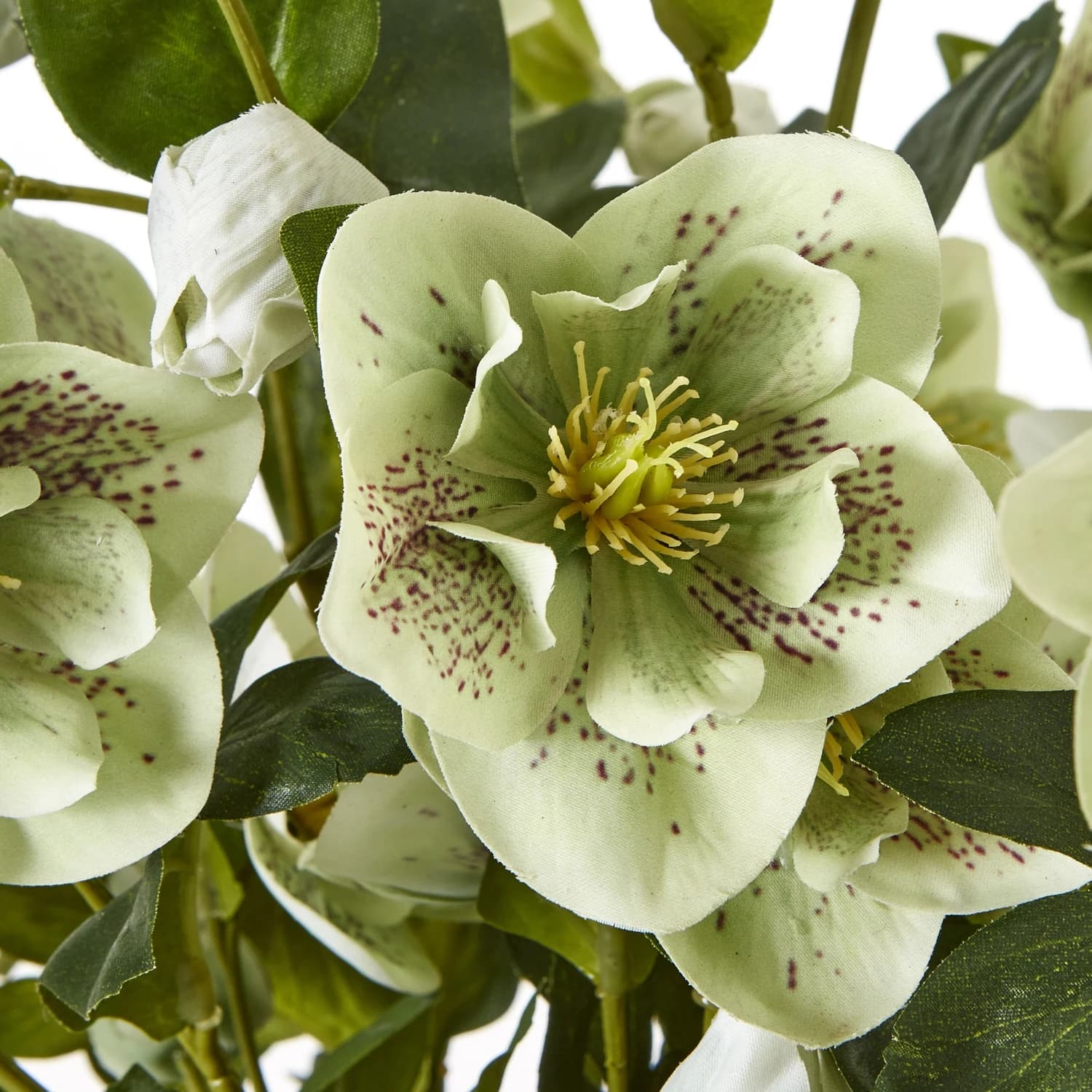Large Green Hellebore in Taupe Pot - Artificial plants & flowers, photo 5 of 5