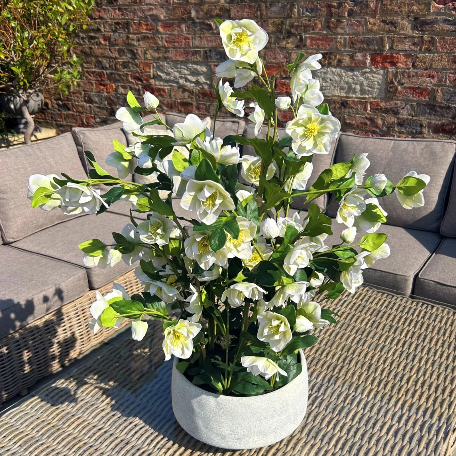 Large White Hellebore In Grey Pot - Artificial plants & flowers, photo 2 of 5