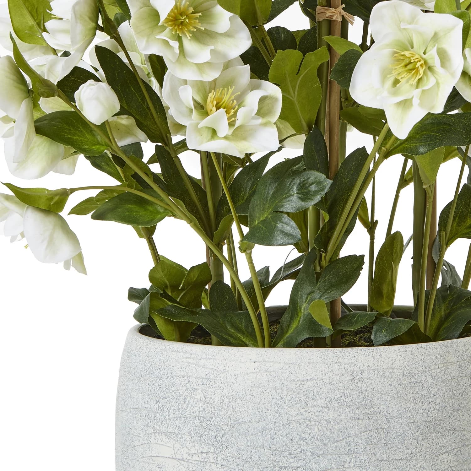 Large White Hellebore In Grey Pot - Artificial plants & flowers, photo 4 of 5