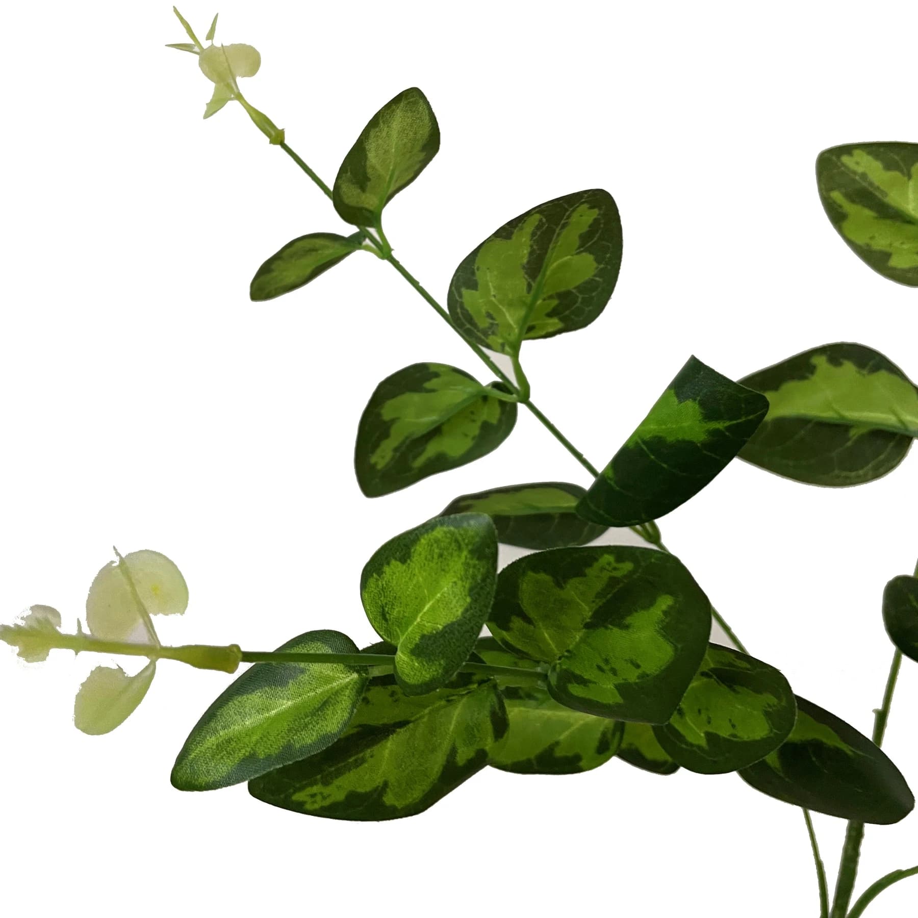 Variegated Leaf Spray — Pack of 5 - Artificial plants & flowers, photo 2 of 3