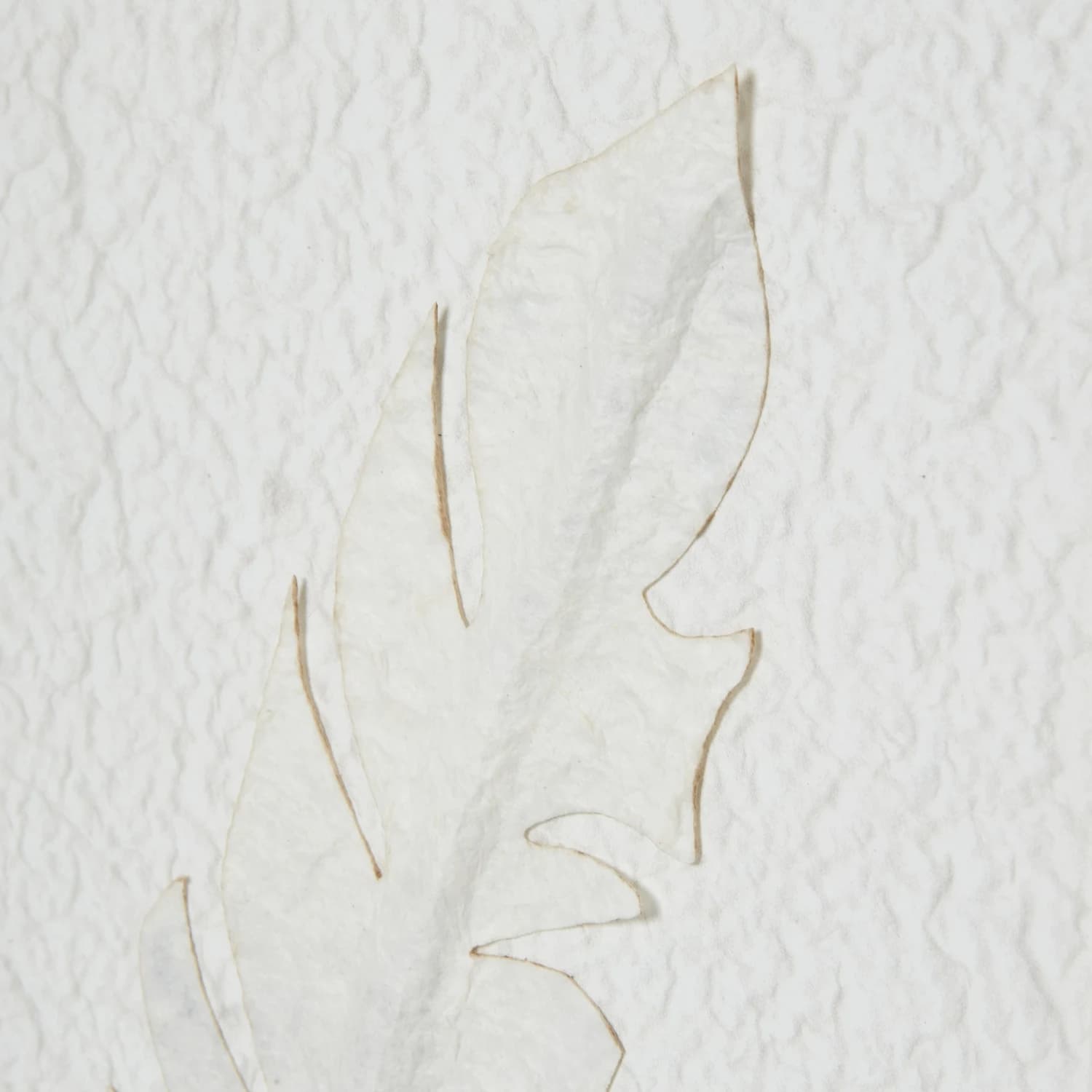 Solli White Feathers Art Mounted In Beaded Frame - Wall art & frames, photo 4 of 6