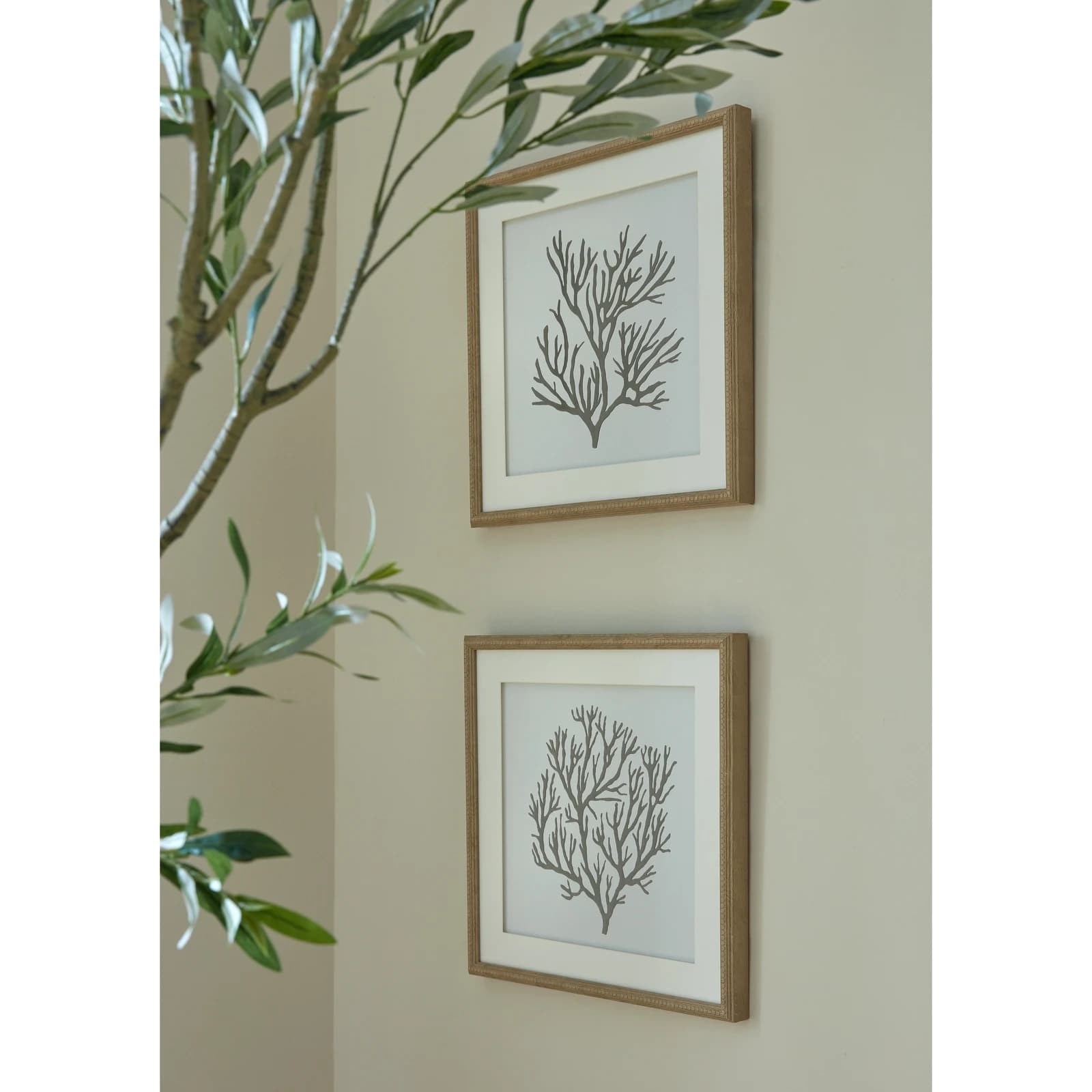 Reef Coral Art Mounted In Beaded Frame - Wall art & frames, photo 6 of 6