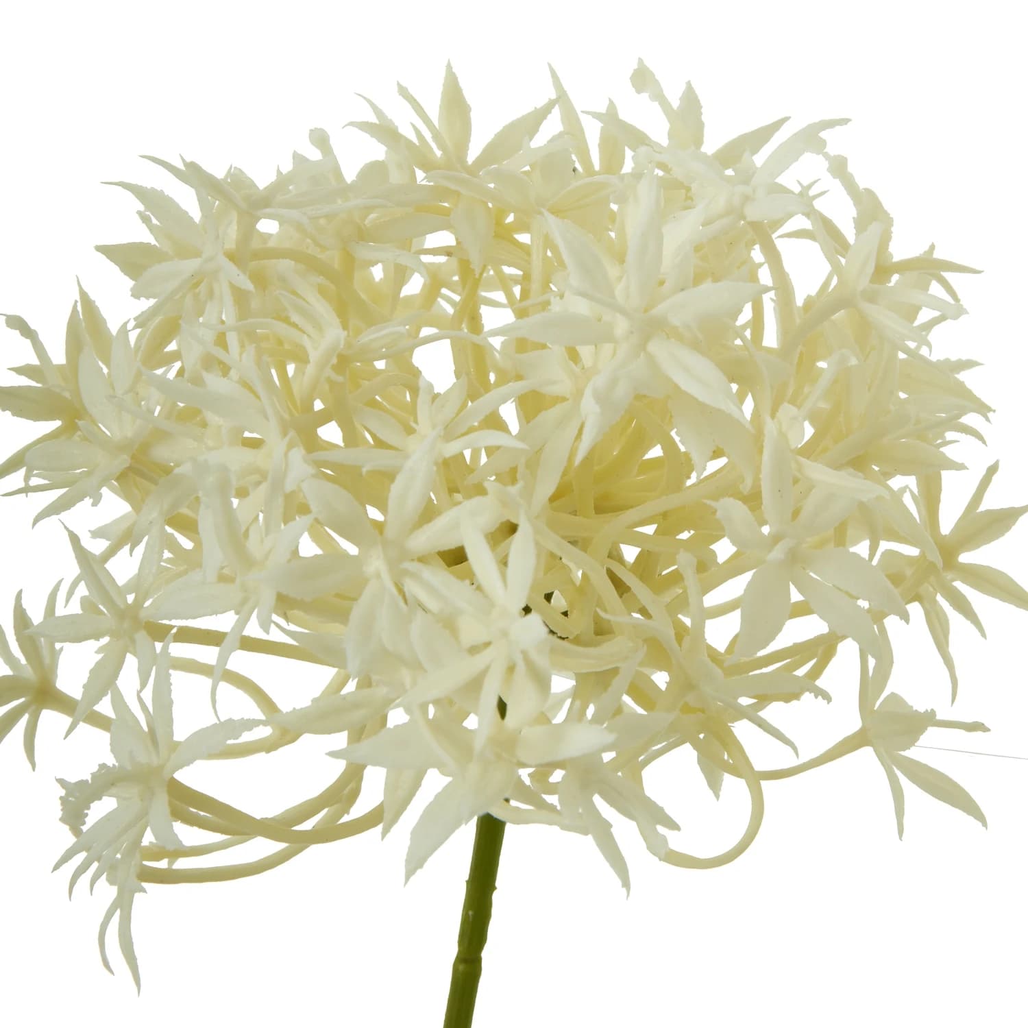 Three Head Cream Allium Spray — Pack of 5 - Artificial plants & flowers, photo 2 of 5