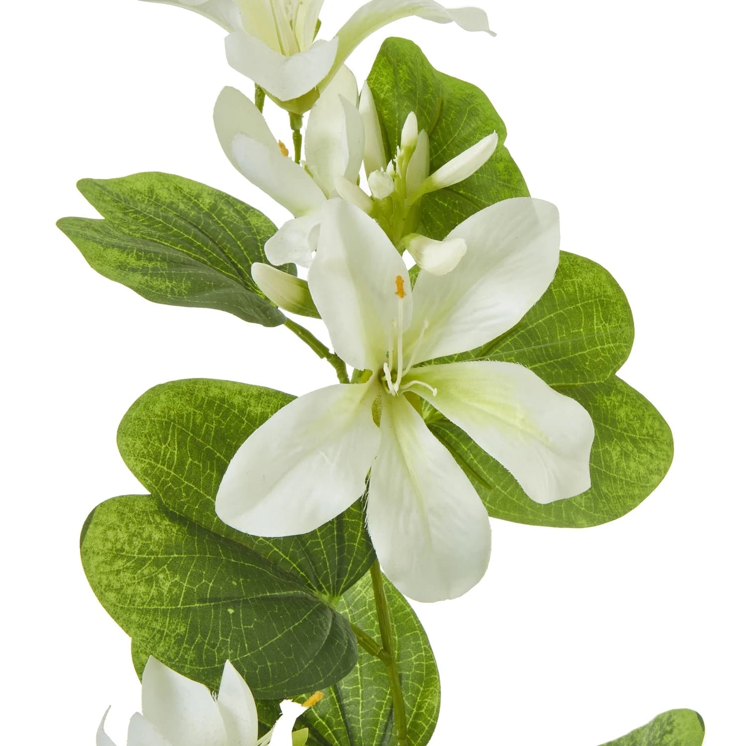 Cream Bauhinia Orchid Spray — Pack of 5 - Artificial plants & flowers, photo 2 of 3
