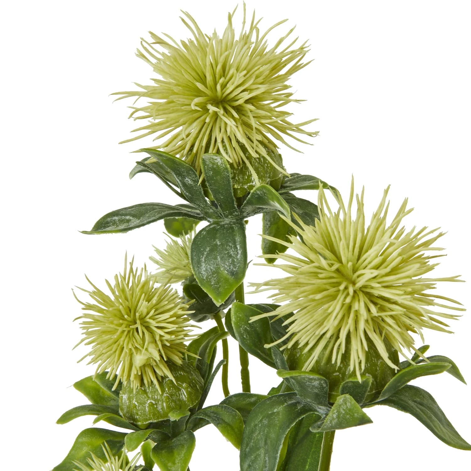 Green Safflower Spray — Pack of 5 - Artificial plants & flowers, photo 2 of 3