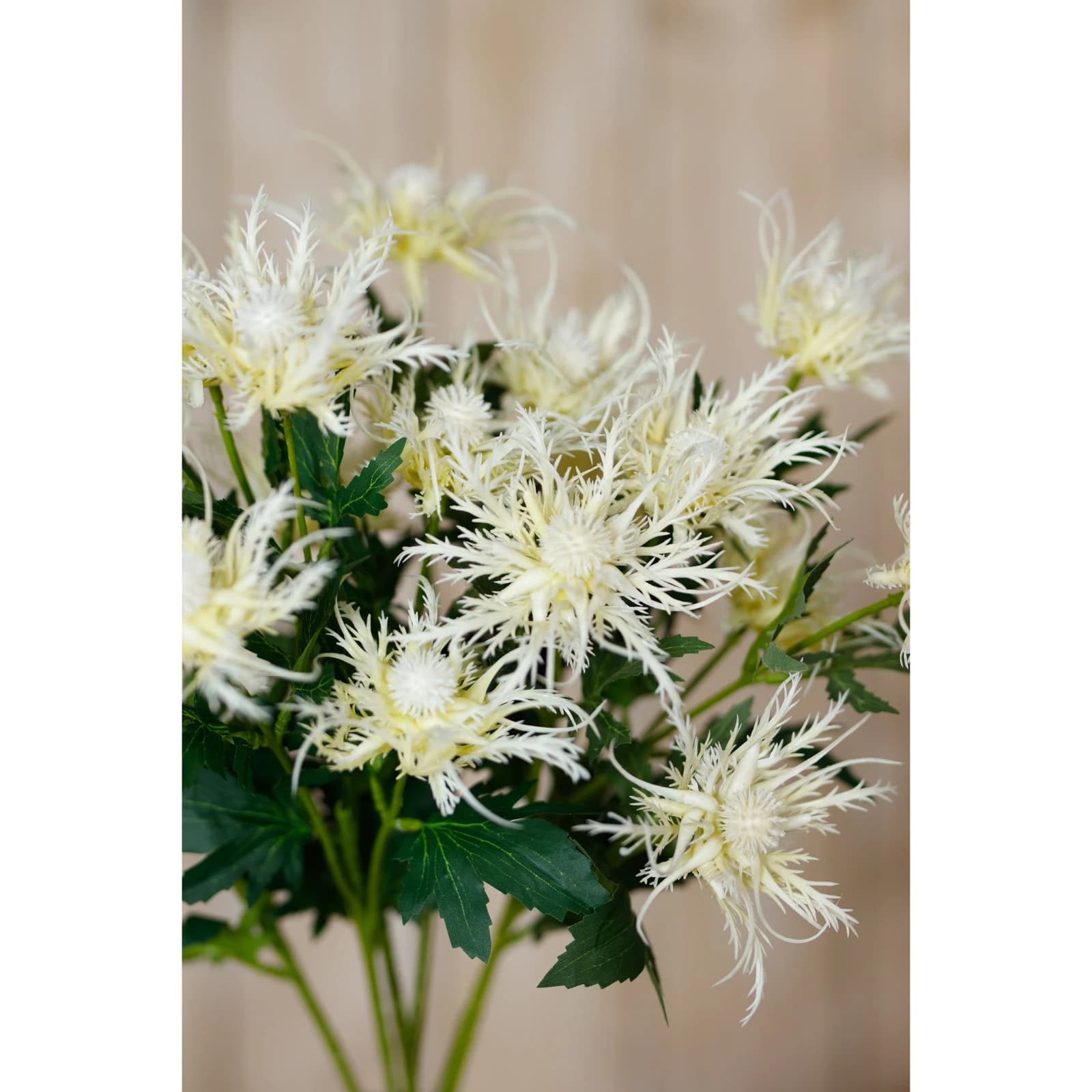 Cream Sea Holly Spray — Pack of 5 - Artificial plants & flowers, photo 5 of 5