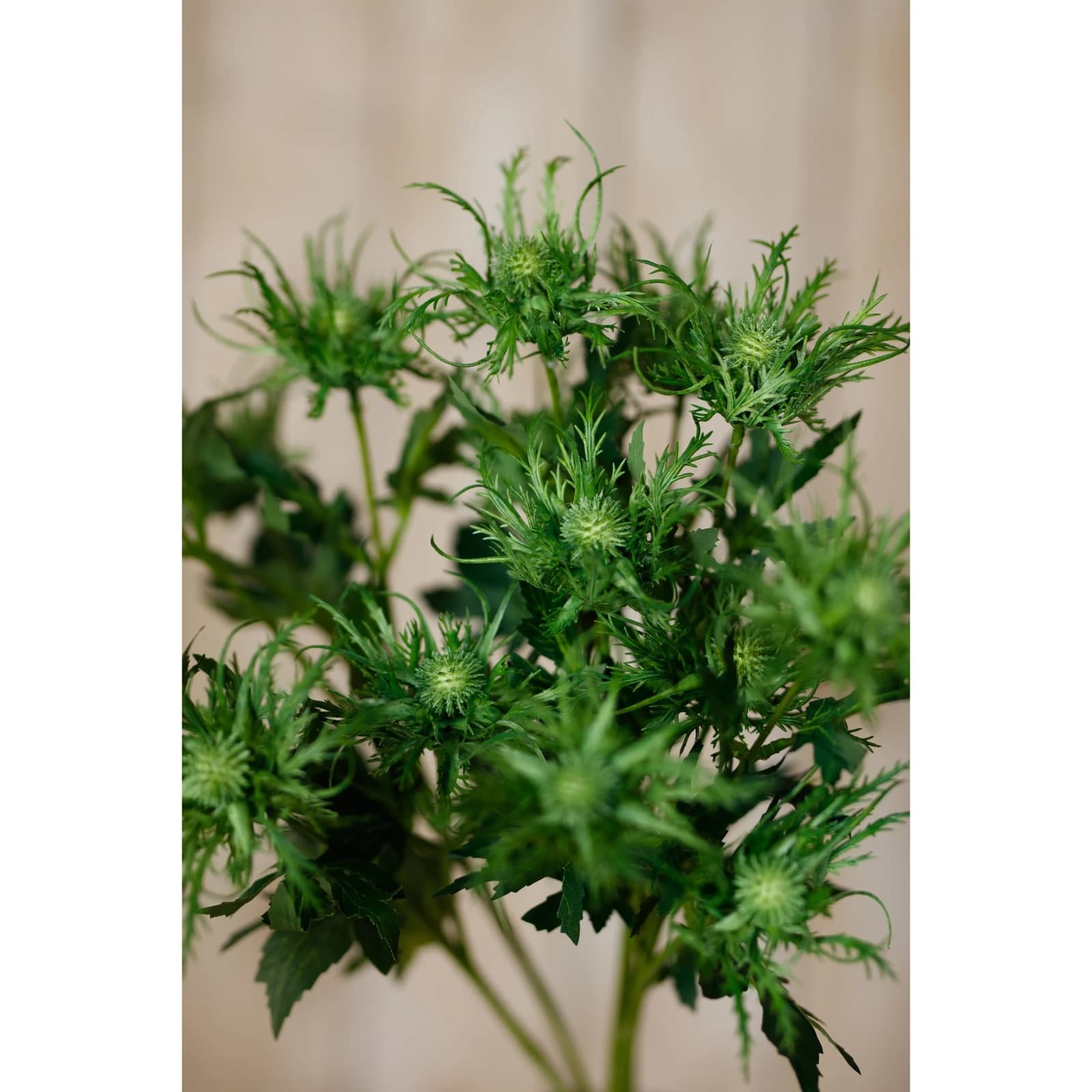Green Sea Holly Spray — Pack of 5 - Artificial plants & flowers, photo 5 of 5