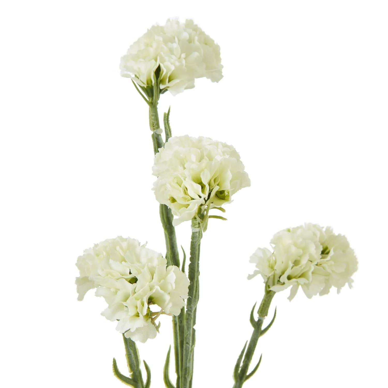 Cream Statice Spray — Pack of 5 - Artificial plants & flowers, photo 2 of 3