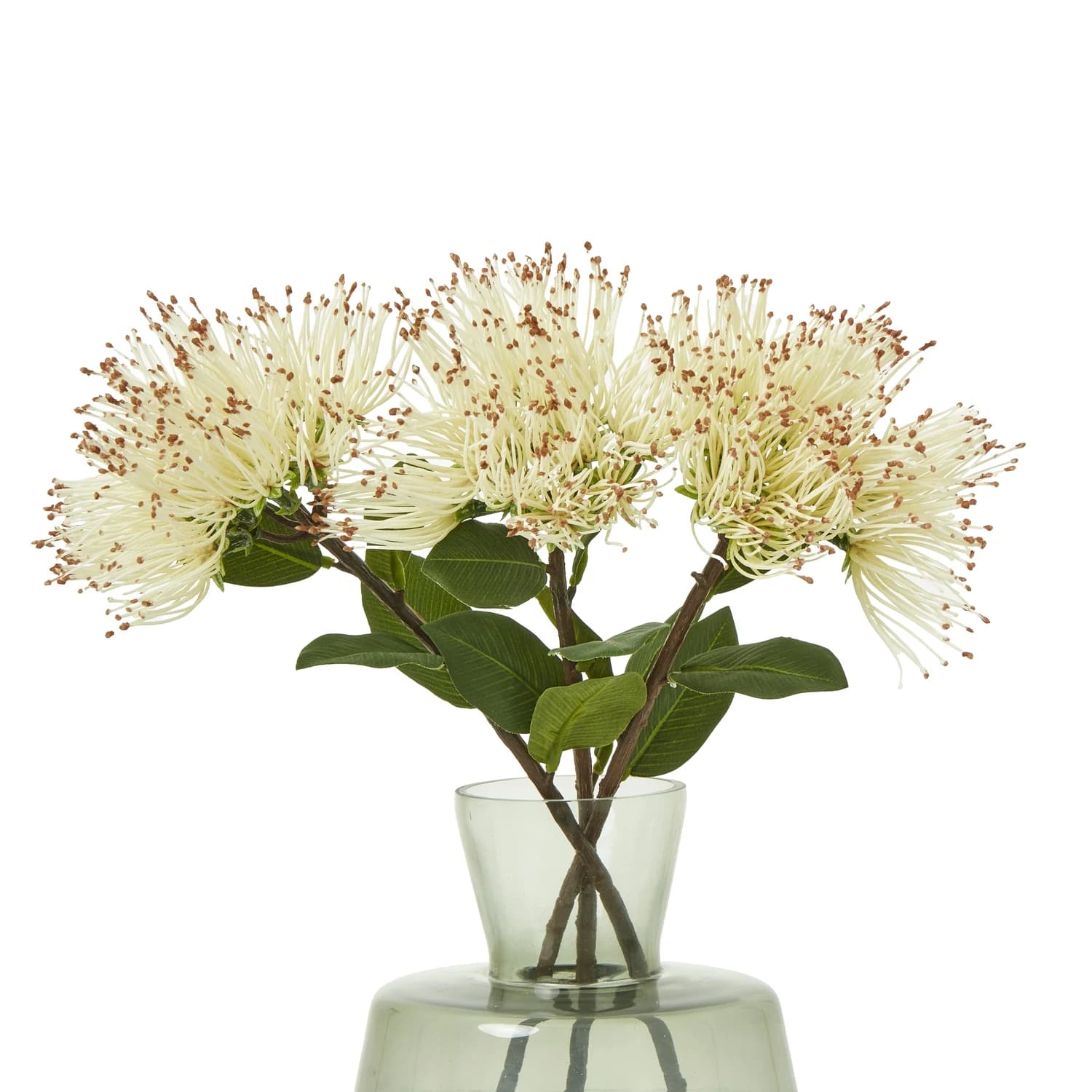 Cream Protea Nitida Stem — Pack of 5 - Artificial plants & flowers, photo 3 of 5