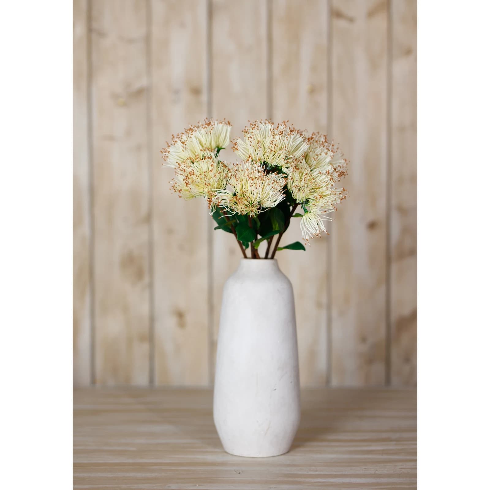 Cream Protea Nitida Stem — Pack of 5 - Artificial plants & flowers, photo 4 of 5