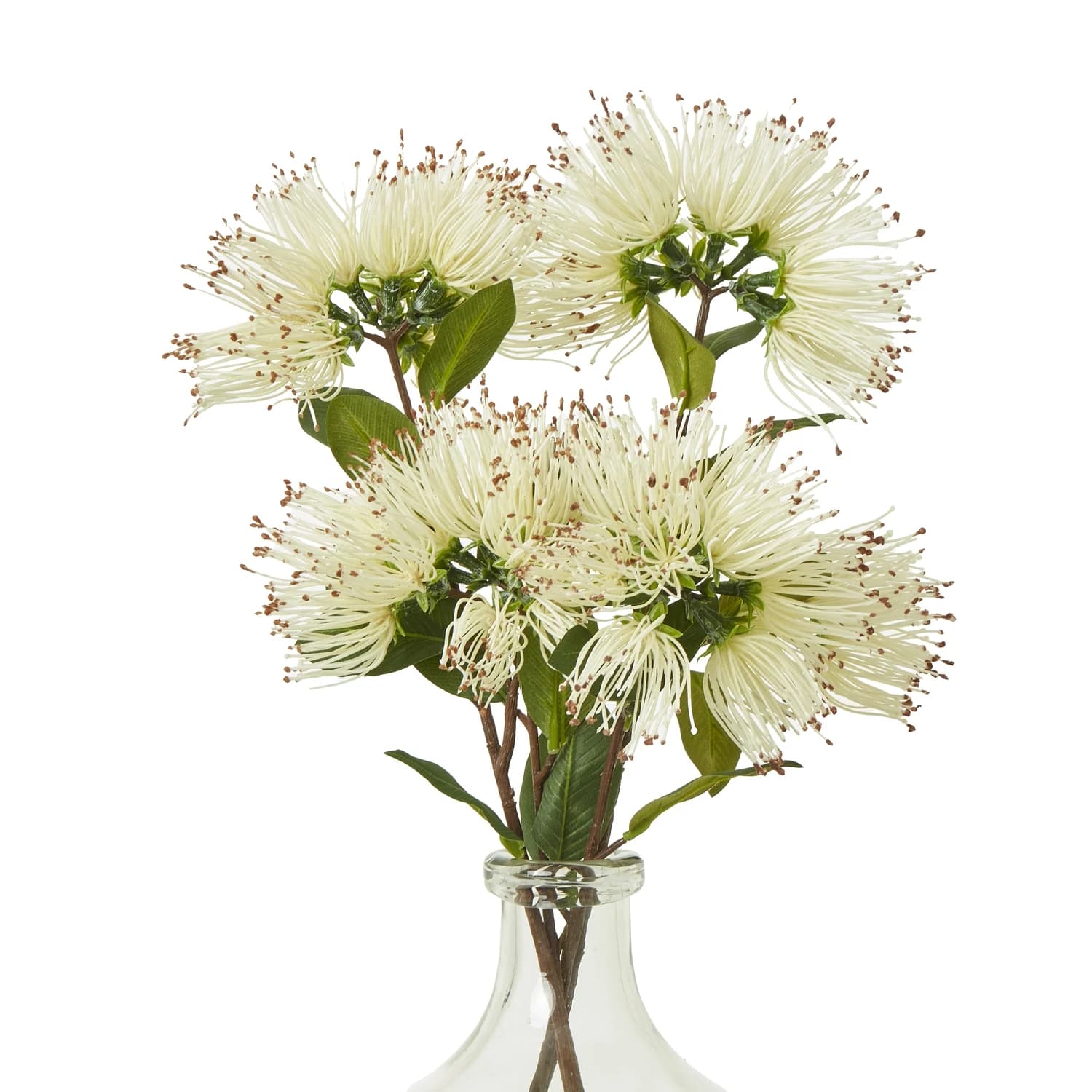 Cream Protea Nitida Spray — Pack of 5 - Artificial plants & flowers, photo 3 of 3