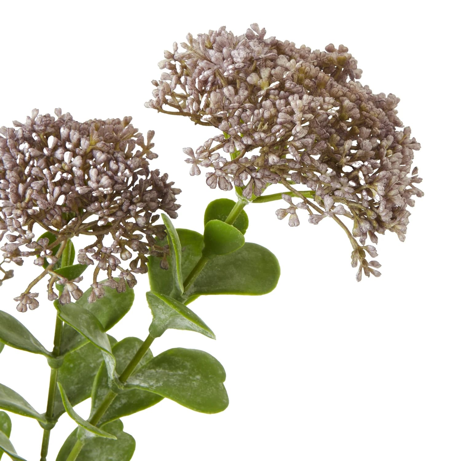 Purple Sedum Spray — Pack of 5 - Artificial plants & flowers, photo 2 of 5