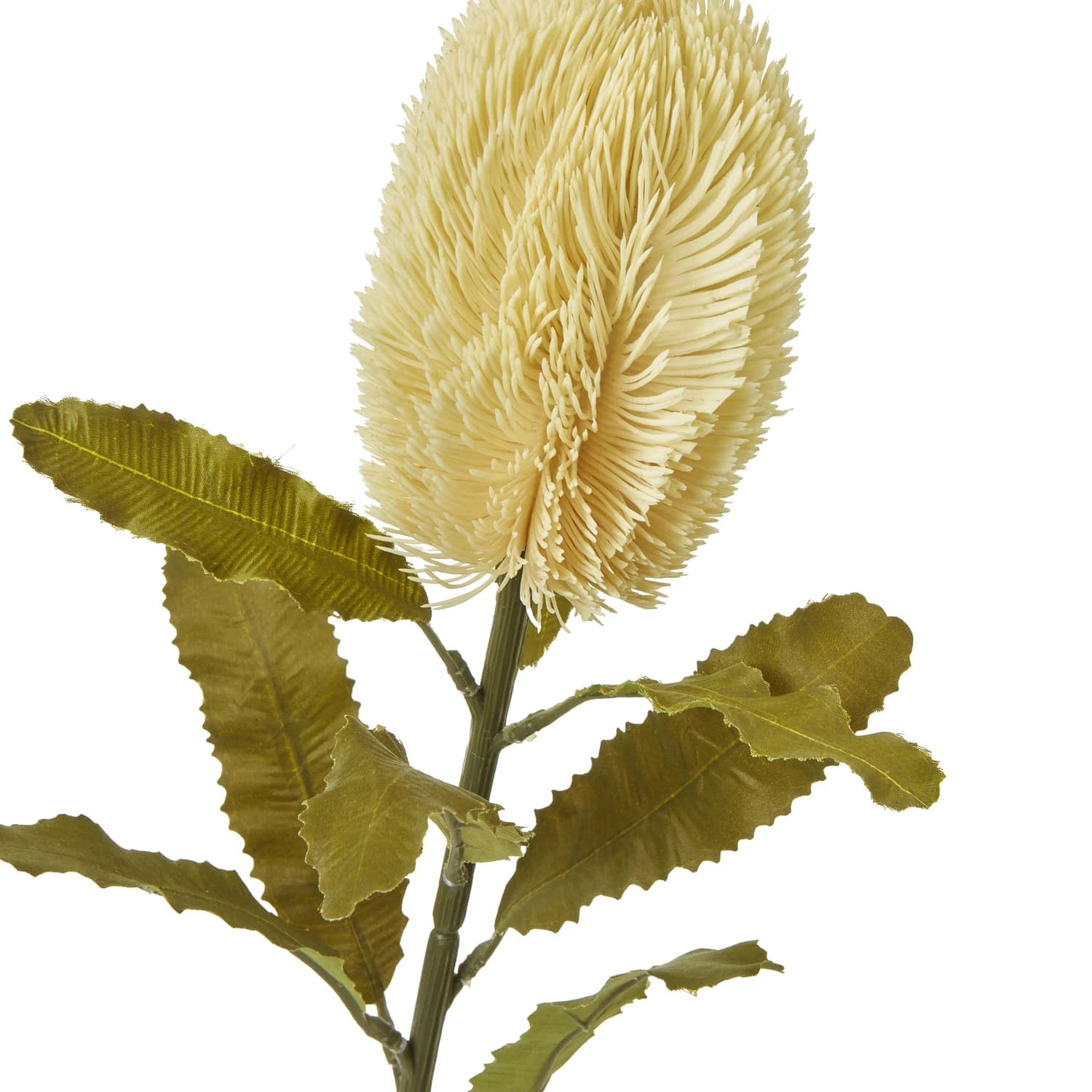 Large Cream Banksia Serrata Stem — Pack of 5 - Artificial plants & flowers, photo 2 of 5