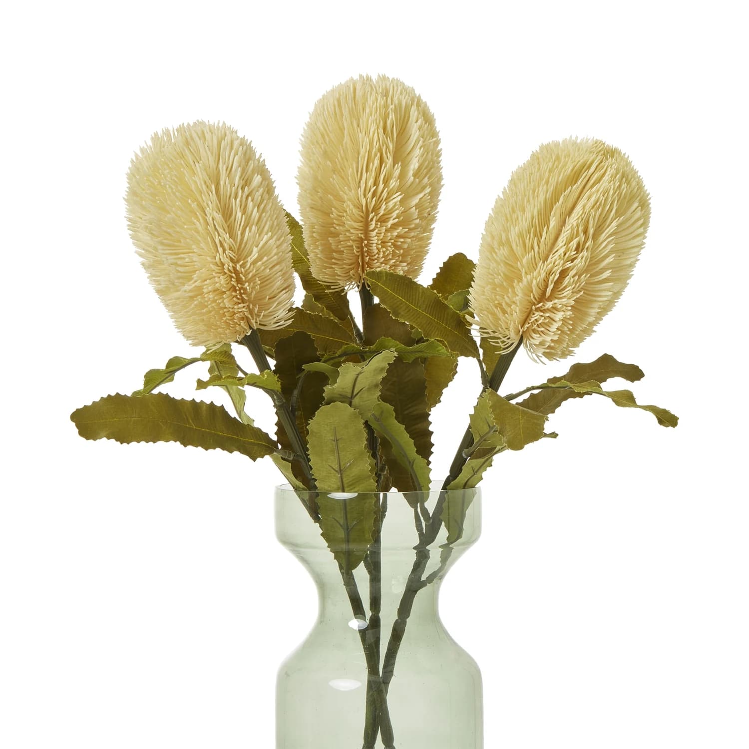 Large Cream Banksia Serrata Stem — Pack of 5 - Artificial plants & flowers, photo 3 of 5
