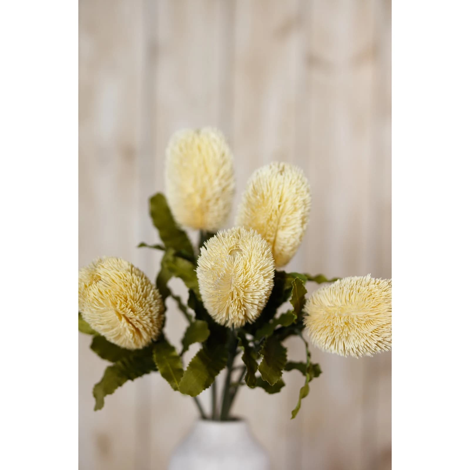 Large Cream Banksia Serrata Stem — Pack of 5 - Artificial plants & flowers, photo 5 of 5