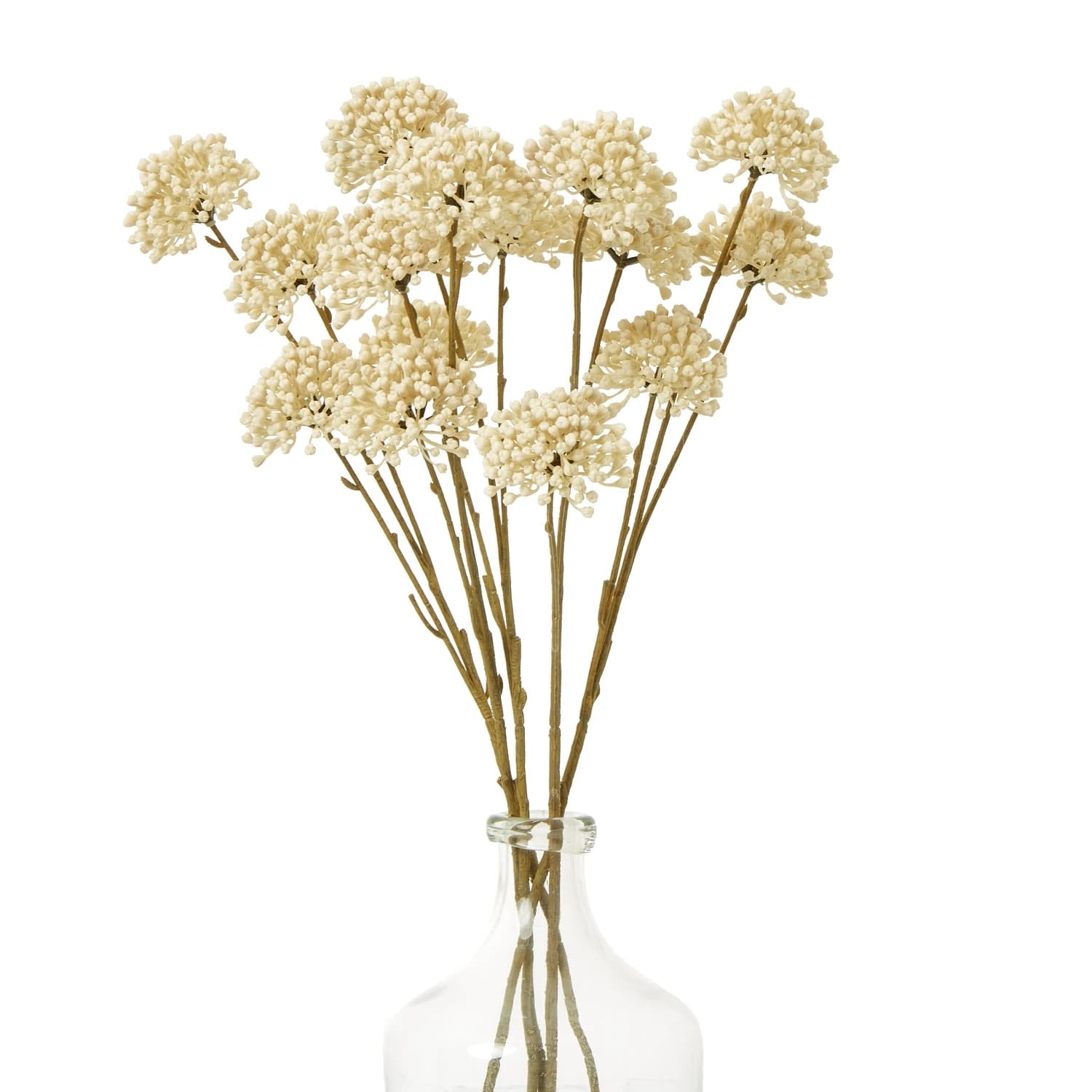 Cream Allium Spray — Pack of 5 - Artificial plants & flowers, photo 3 of 5