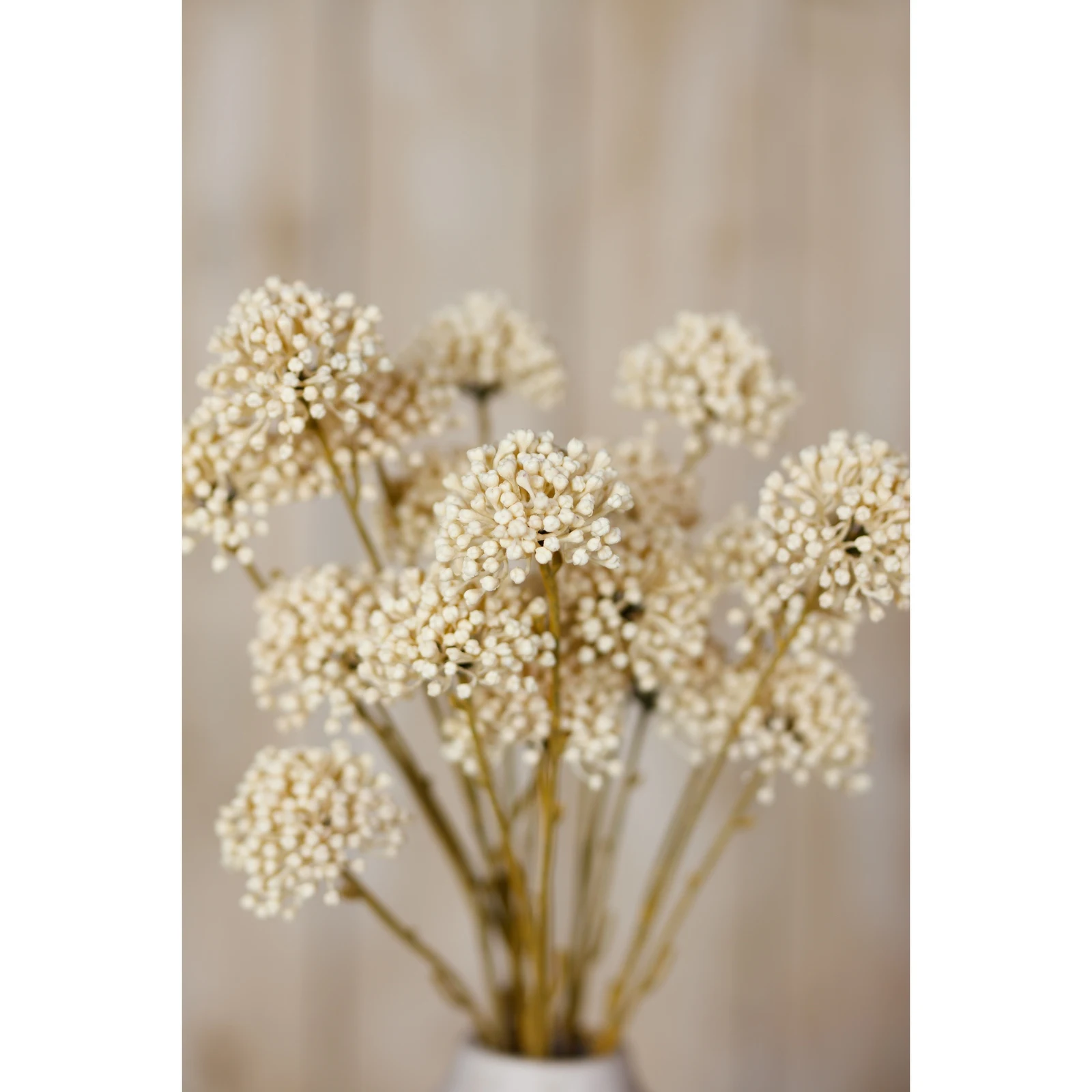 Cream Allium Spray — Pack of 5 - Artificial plants & flowers, photo 5 of 5