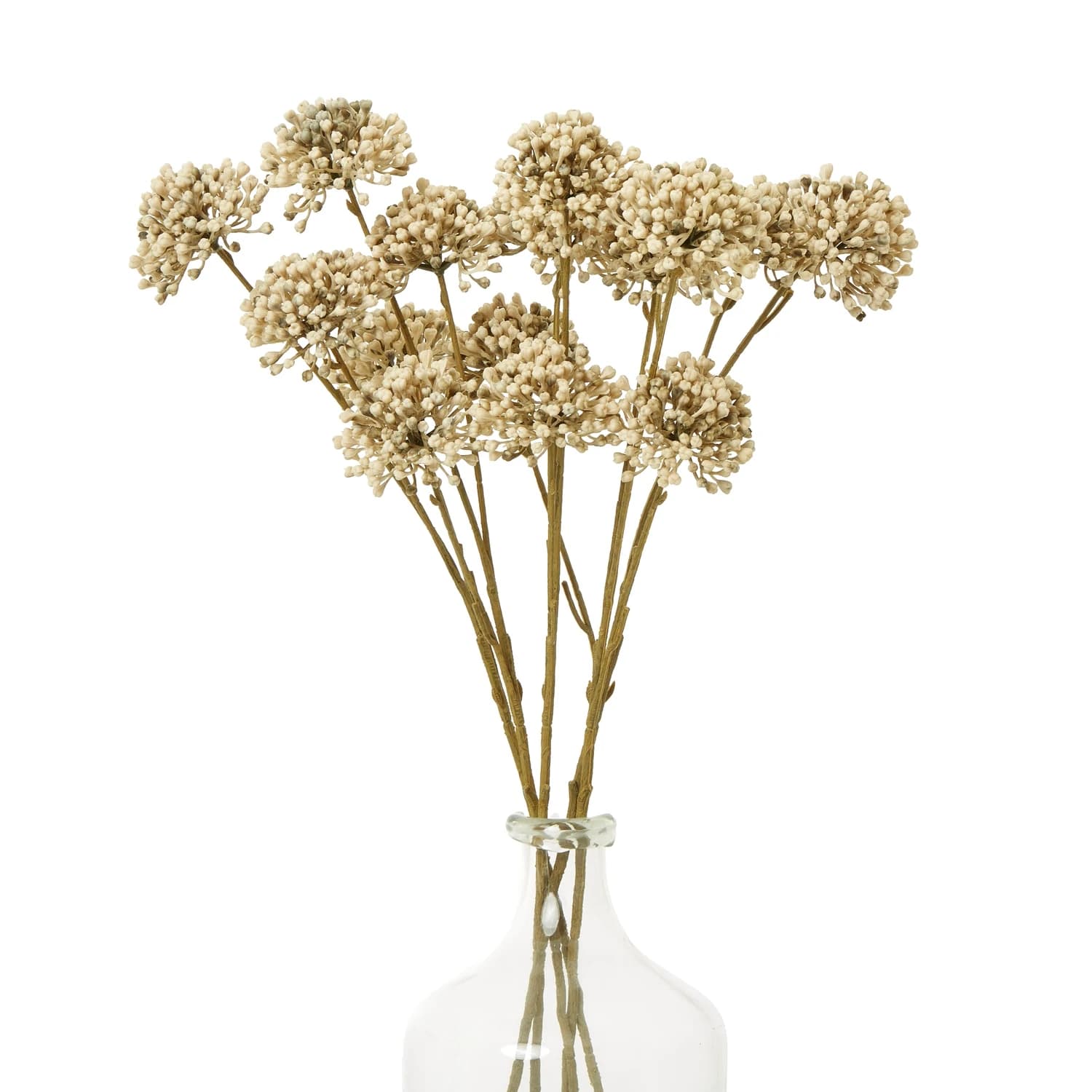 Brown Allium Spray — Pack of 5 - Artificial plants & flowers, photo 3 of 5