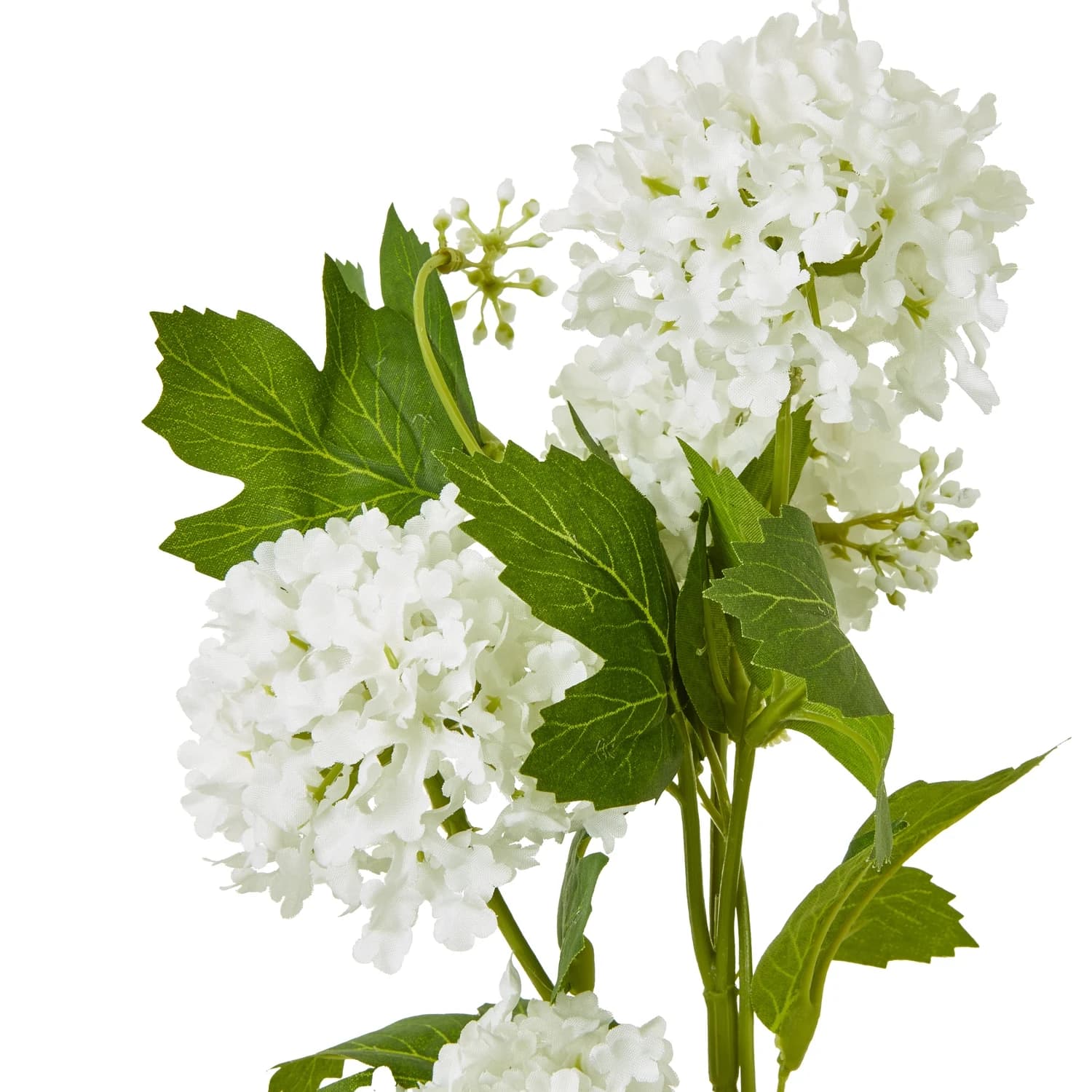 Cream Snowball Viburnum Spray — Pack of 5 - Artificial plants & flowers, photo 2 of 5