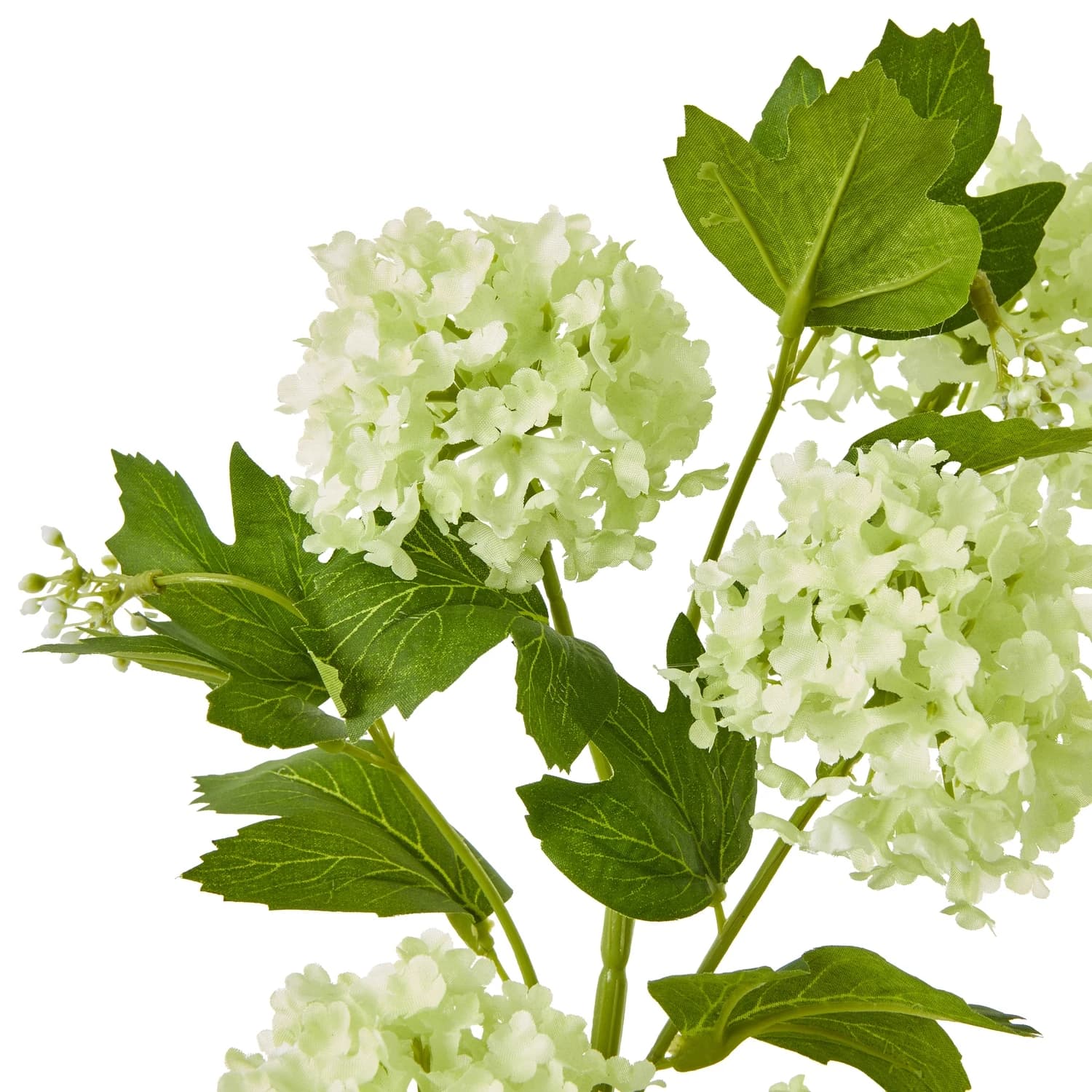 Green Snowball Viburnum Spray — Pack of 5 - Artificial plants & flowers, photo 2 of 5