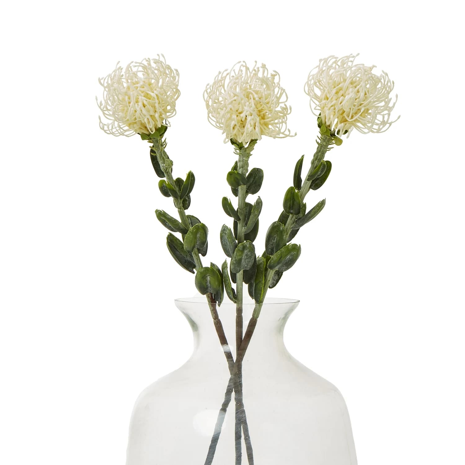 Cream Pincushion Protea Spray — Pack of 5 - Artificial plants & flowers, photo 3 of 5