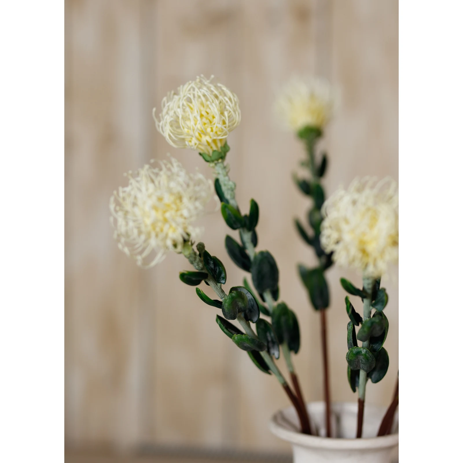 Cream Pincushion Protea Spray — Pack of 5 - Artificial plants & flowers, photo 5 of 5