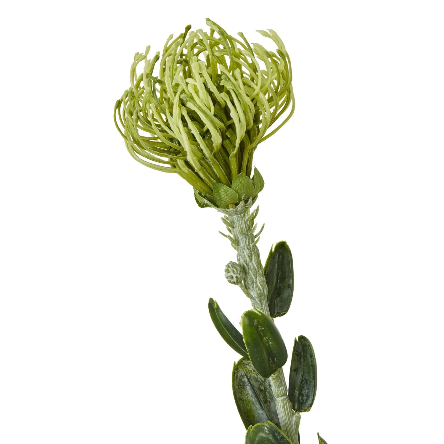 Green Pincushion Protea Spray — Pack of 5 - Artificial plants & flowers, photo 2 of 5