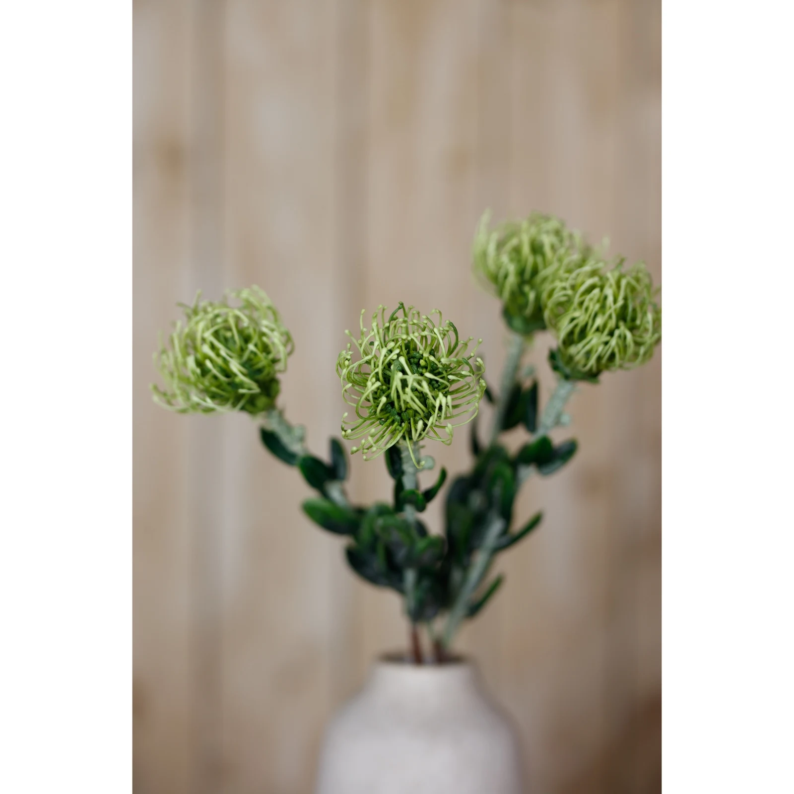 Green Pincushion Protea Spray — Pack of 5 - Artificial plants & flowers, photo 5 of 5