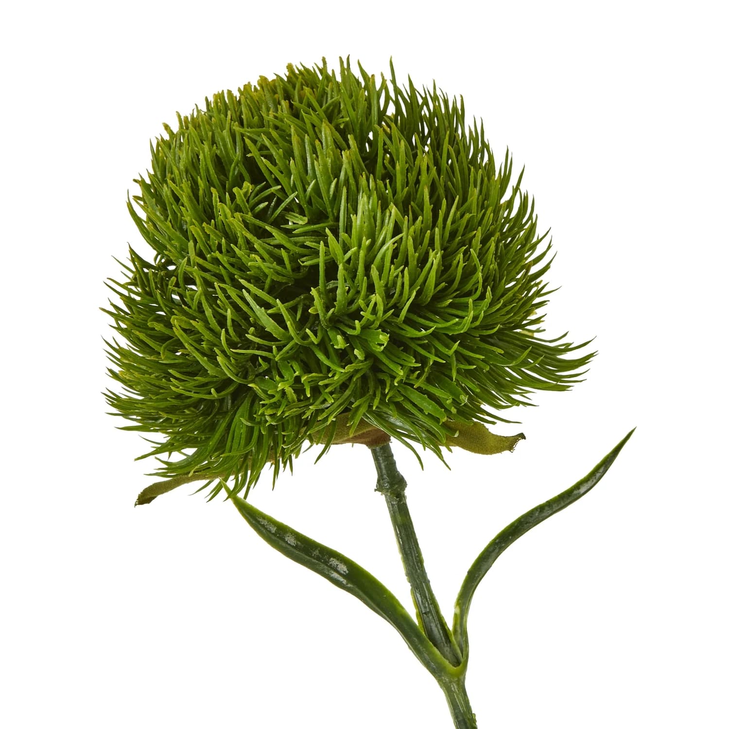 Dark Green Dianthus Stem — Pack of 5 - Artificial plants & flowers, photo 2 of 5