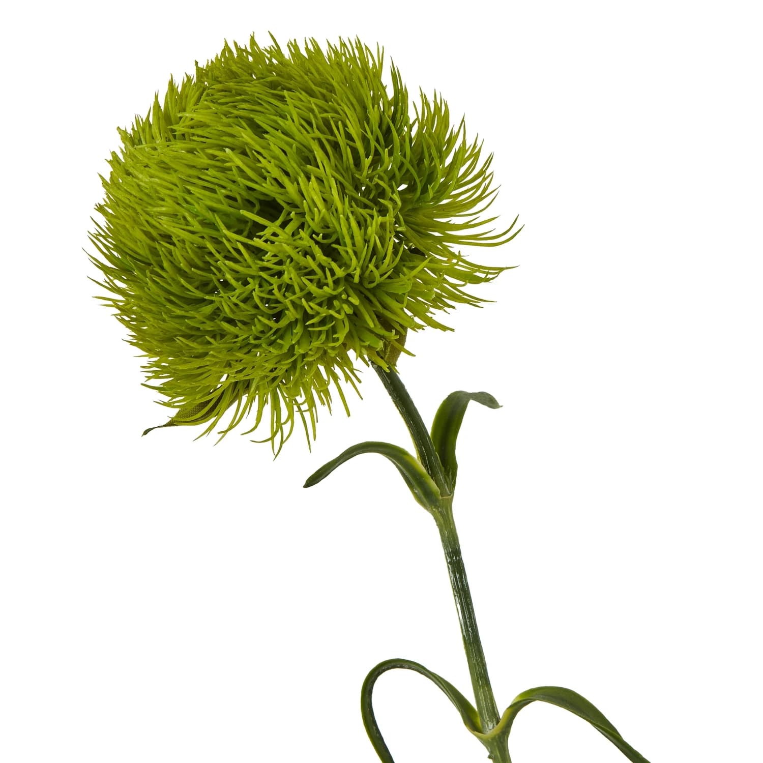 Light Green Dianthus Stem — Pack of 5 - Artificial plants & flowers, photo 2 of 5