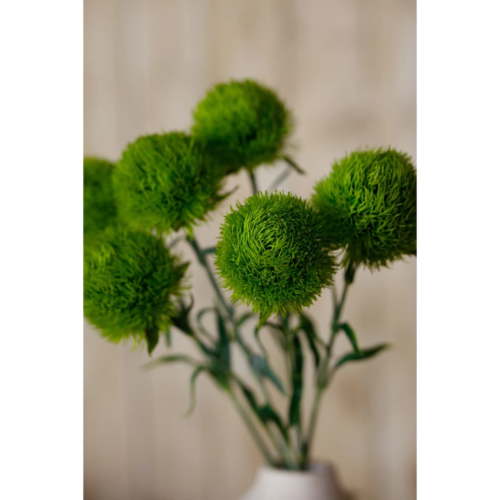 Light Green Dianthus Stem — Pack of 5 - Artificial plants & flowers, photo 5 of 5