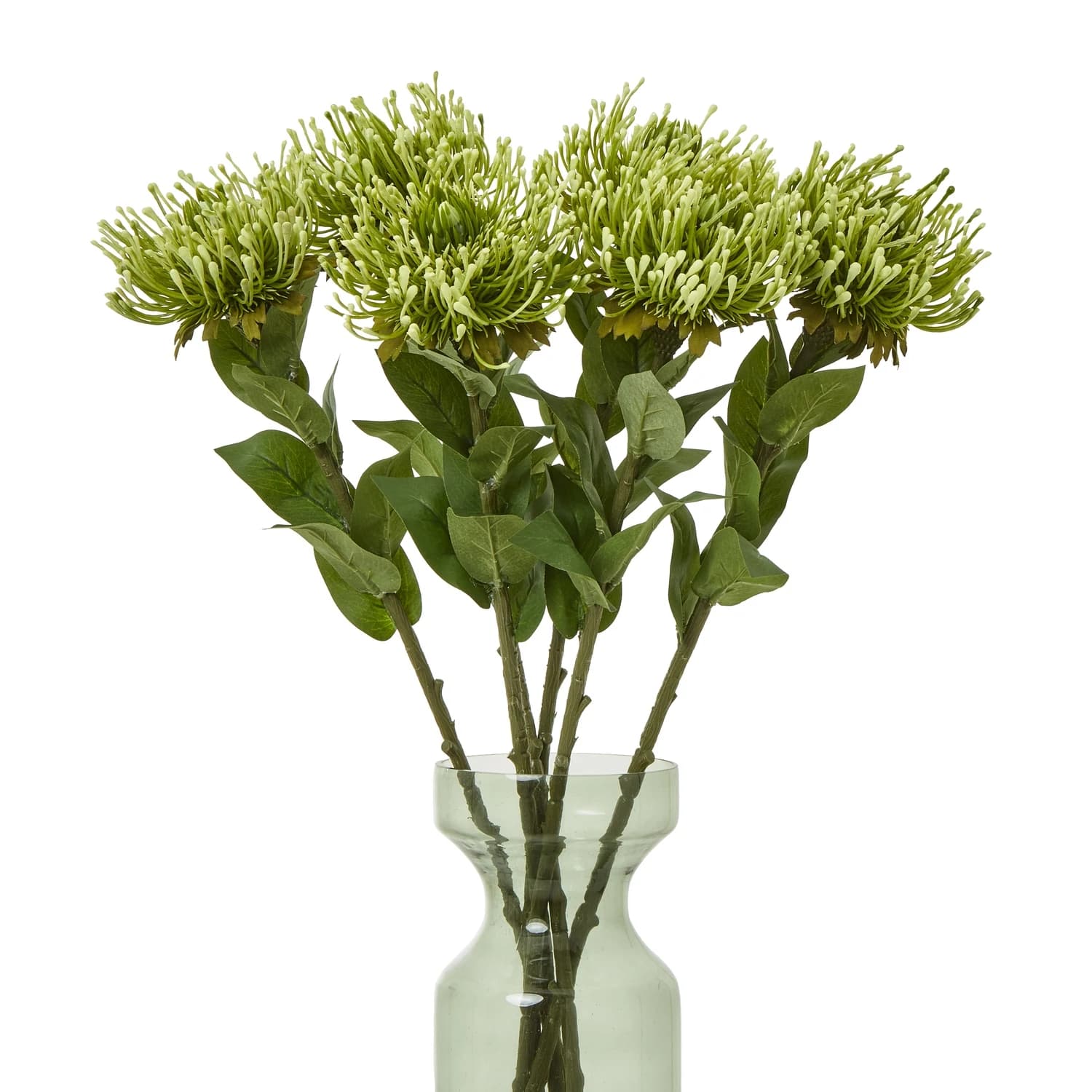 Green Protea Lorea Stem — Pack of 5 - Artificial plants & flowers, photo 3 of 5