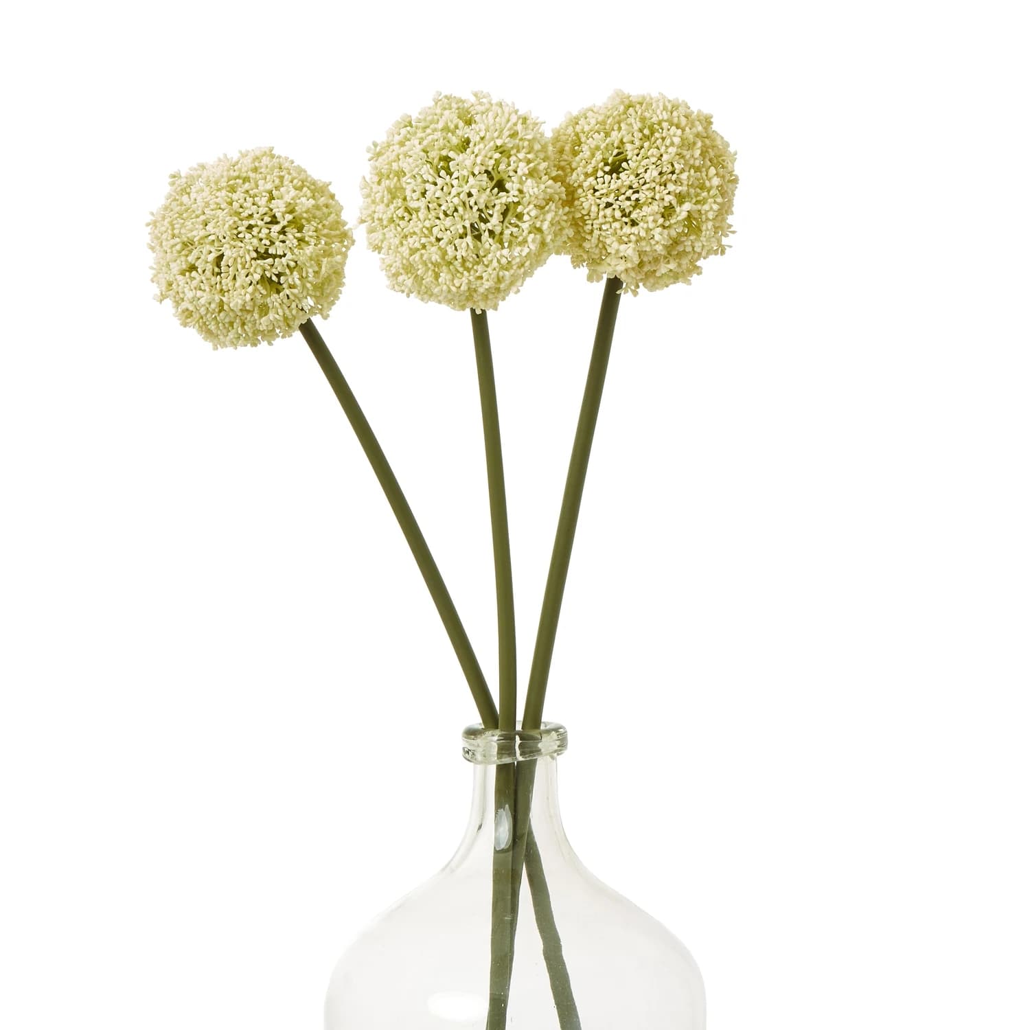 Cream Allium Stem — Pack of 5 - Artificial plants & flowers, photo 3 of 3