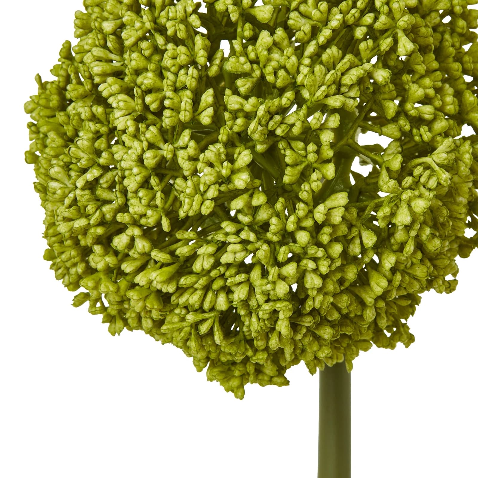 Green Allium Stem — Pack of 5 - Artificial plants & flowers, photo 4 of 5