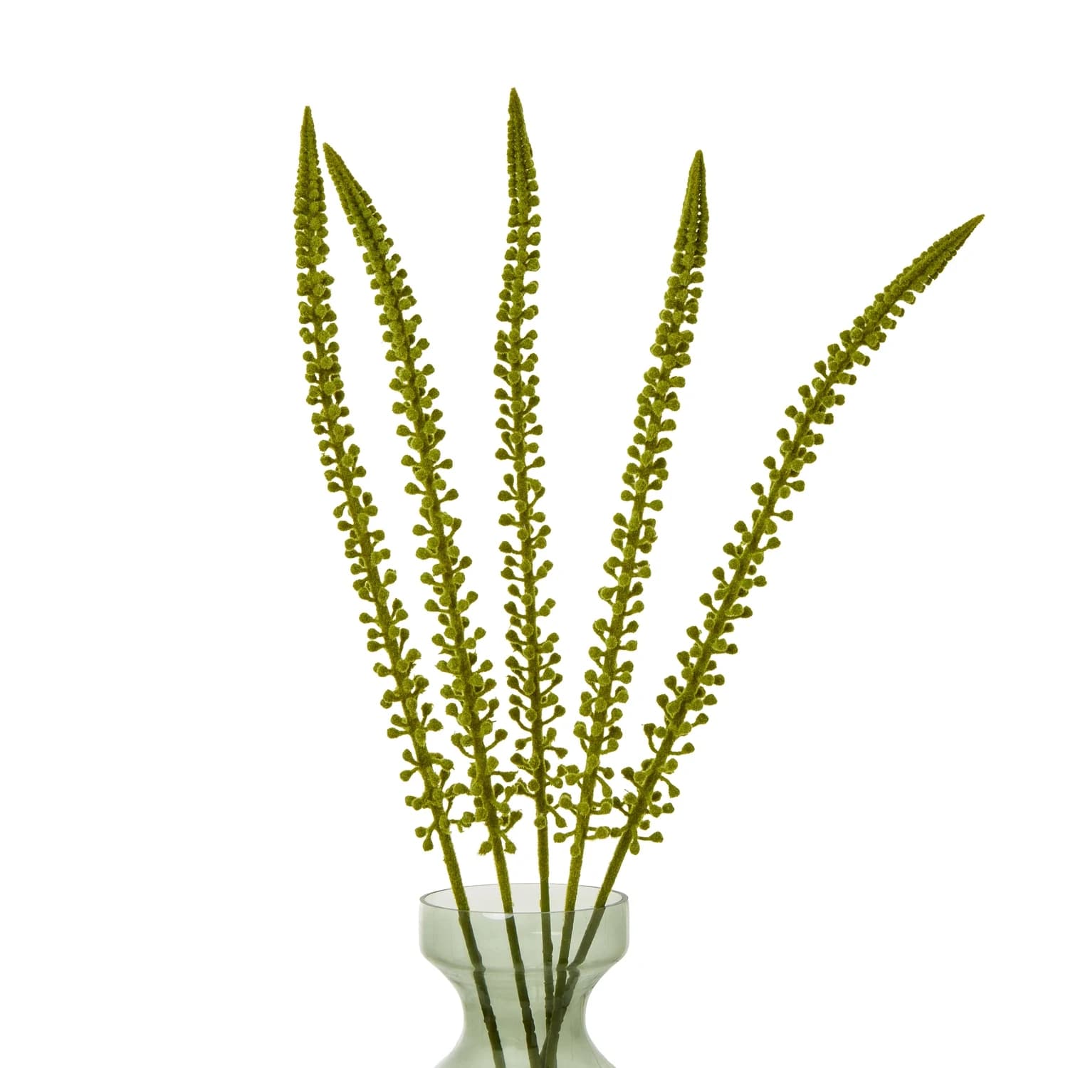 Green Eremurus Stem — Pack of 5 - Artificial plants & flowers, photo 3 of 3