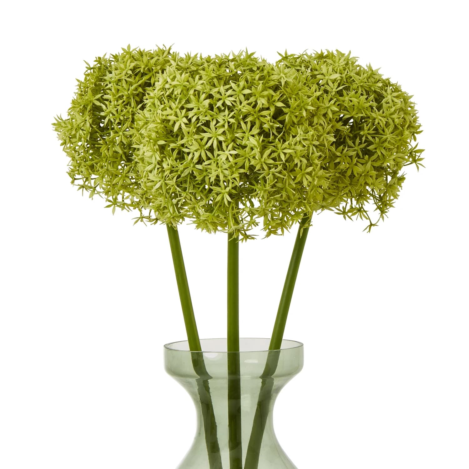 Green Giant Allium Stem — Pack of 3 - Artificial plants & flowers, photo 3 of 5