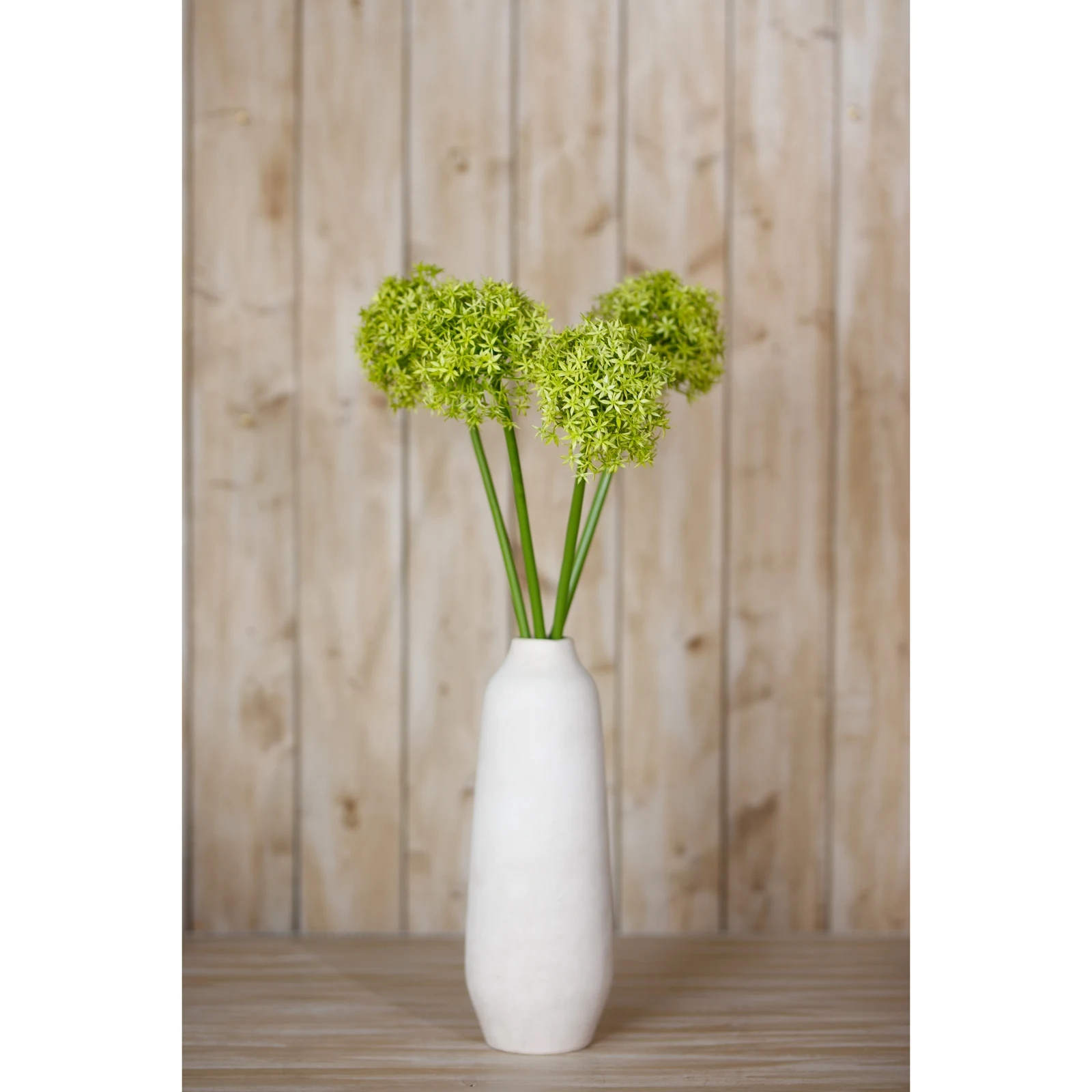 Green Giant Allium Stem — Pack of 3 - Artificial plants & flowers, photo 4 of 5
