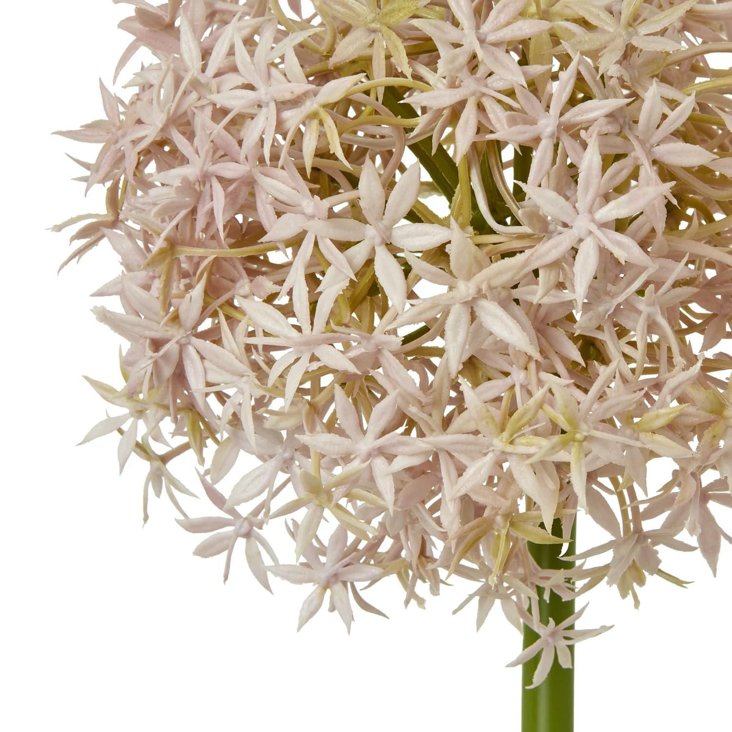 Lilac Medium Allium Stem — Pack of 5 - Artificial plants & flowers, photo 2 of 5