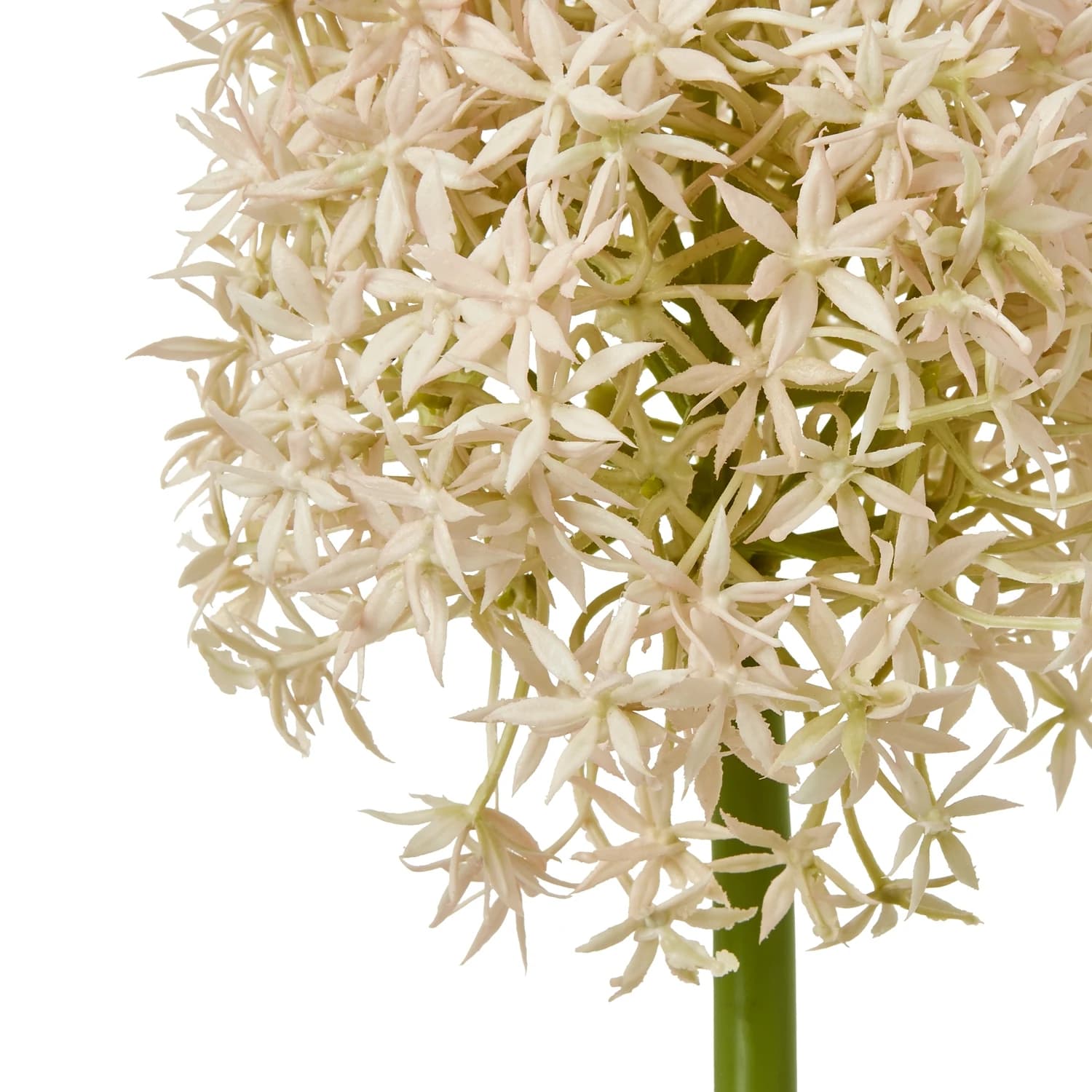 Pink Medium Allium Stem — Pack of 5 - Artificial plants & flowers, photo 2 of 5