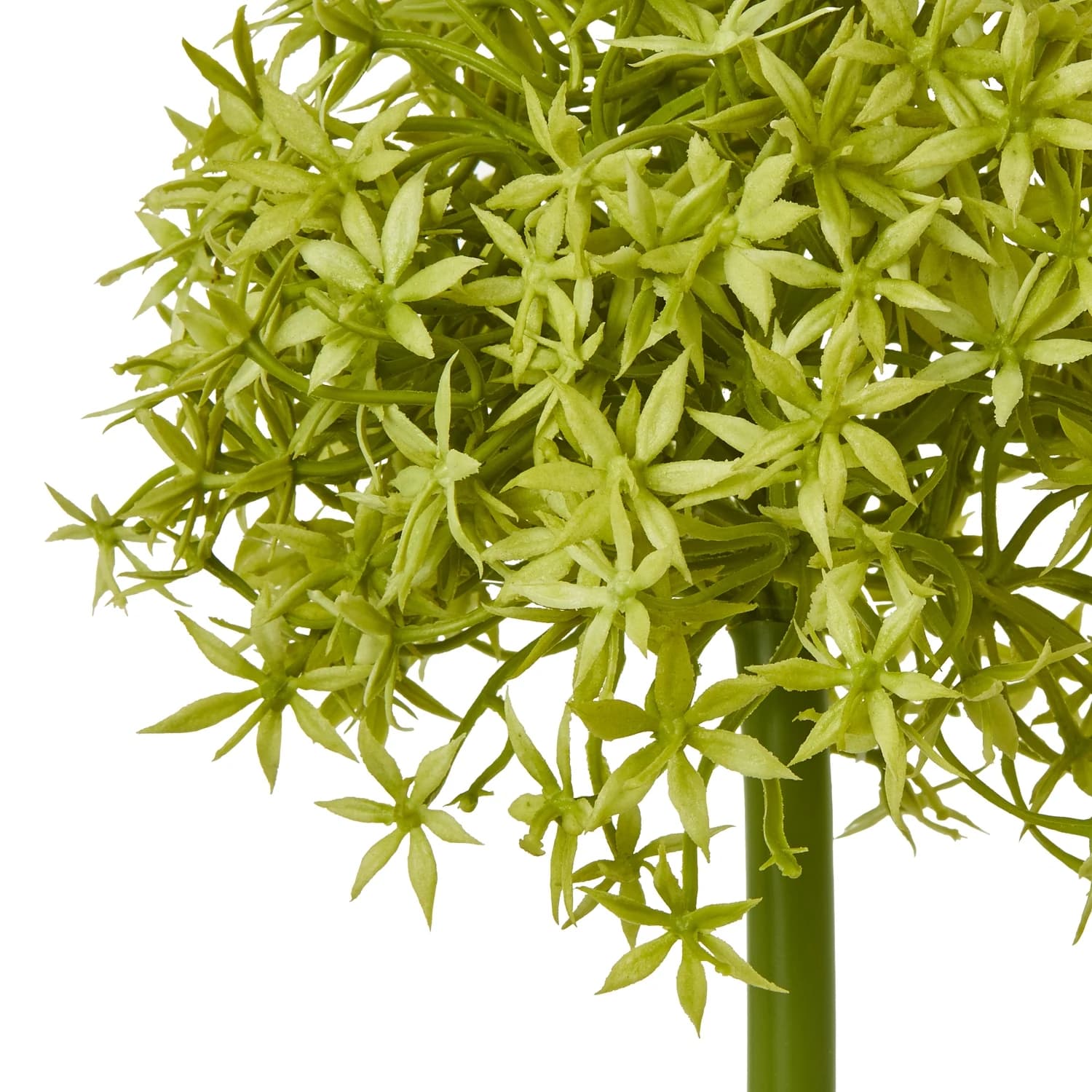 Green Medium Allium Stem — Pack of 5 - Artificial plants & flowers, photo 2 of 3