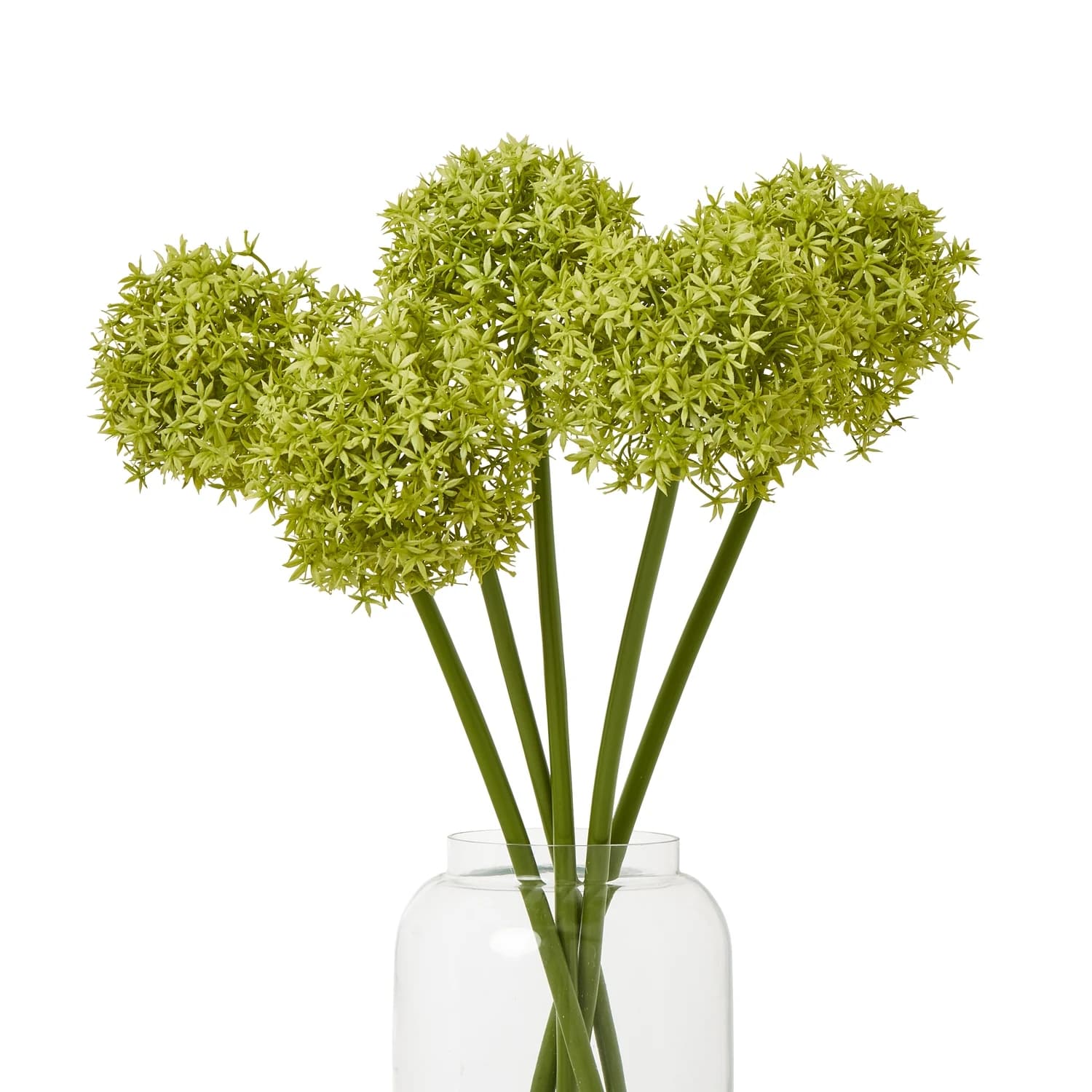 Green Medium Allium Stem — Pack of 5 - Artificial plants & flowers, photo 3 of 3