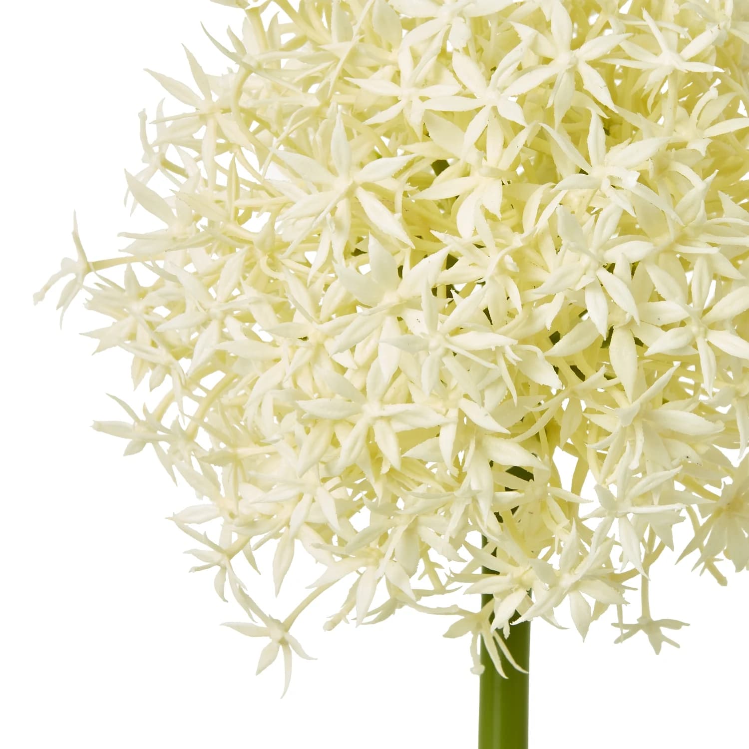 Cream Medium Allium Stem — Pack of 5 - Artificial plants & flowers, photo 2 of 5