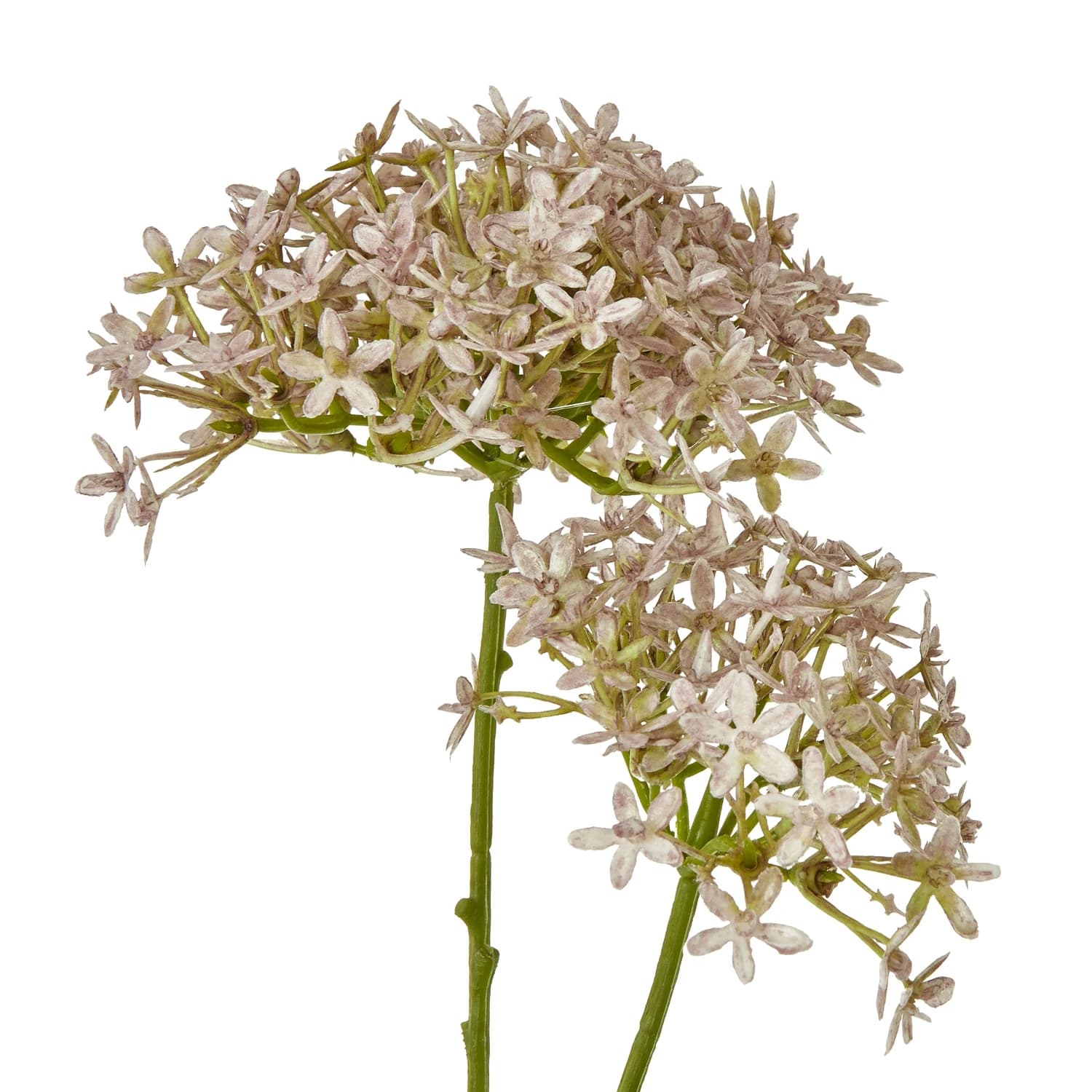 Lilac Crown Hydrangea Stem — Pack of 5 - Artificial plants & flowers, photo 2 of 3