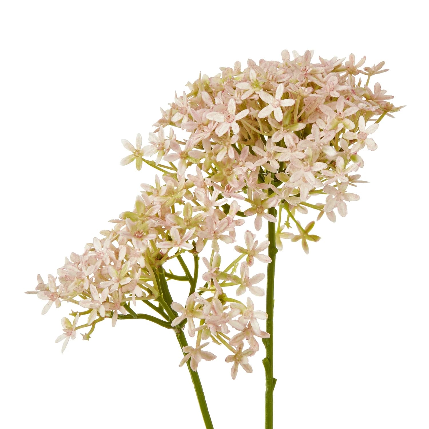 Pink Crown Hydrangea Stem — Pack of 5 - Artificial plants & flowers, photo 2 of 3