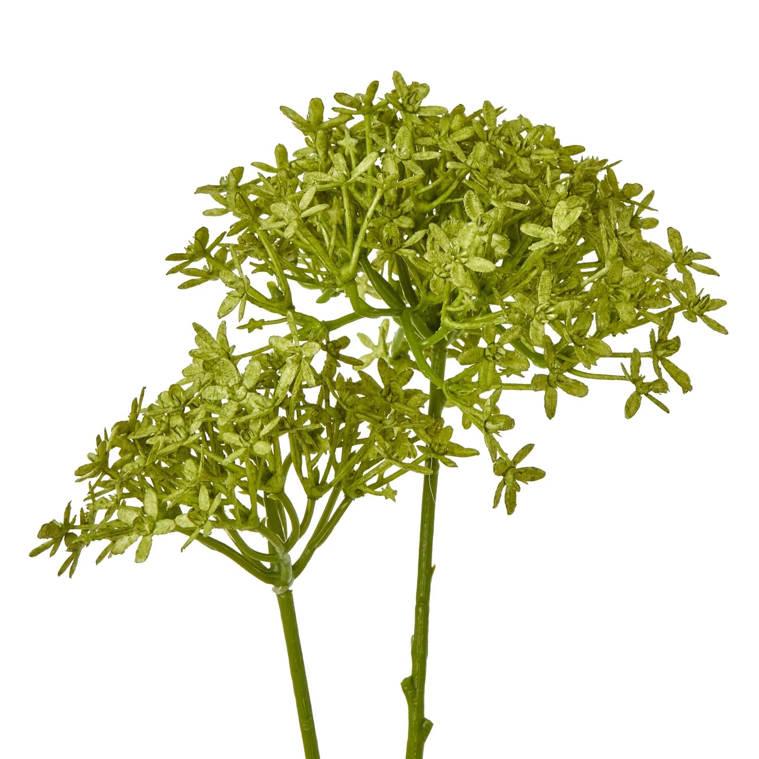 Green Crown Hydrangea Stem — Pack of 5 - Artificial plants & flowers, photo 2 of 3