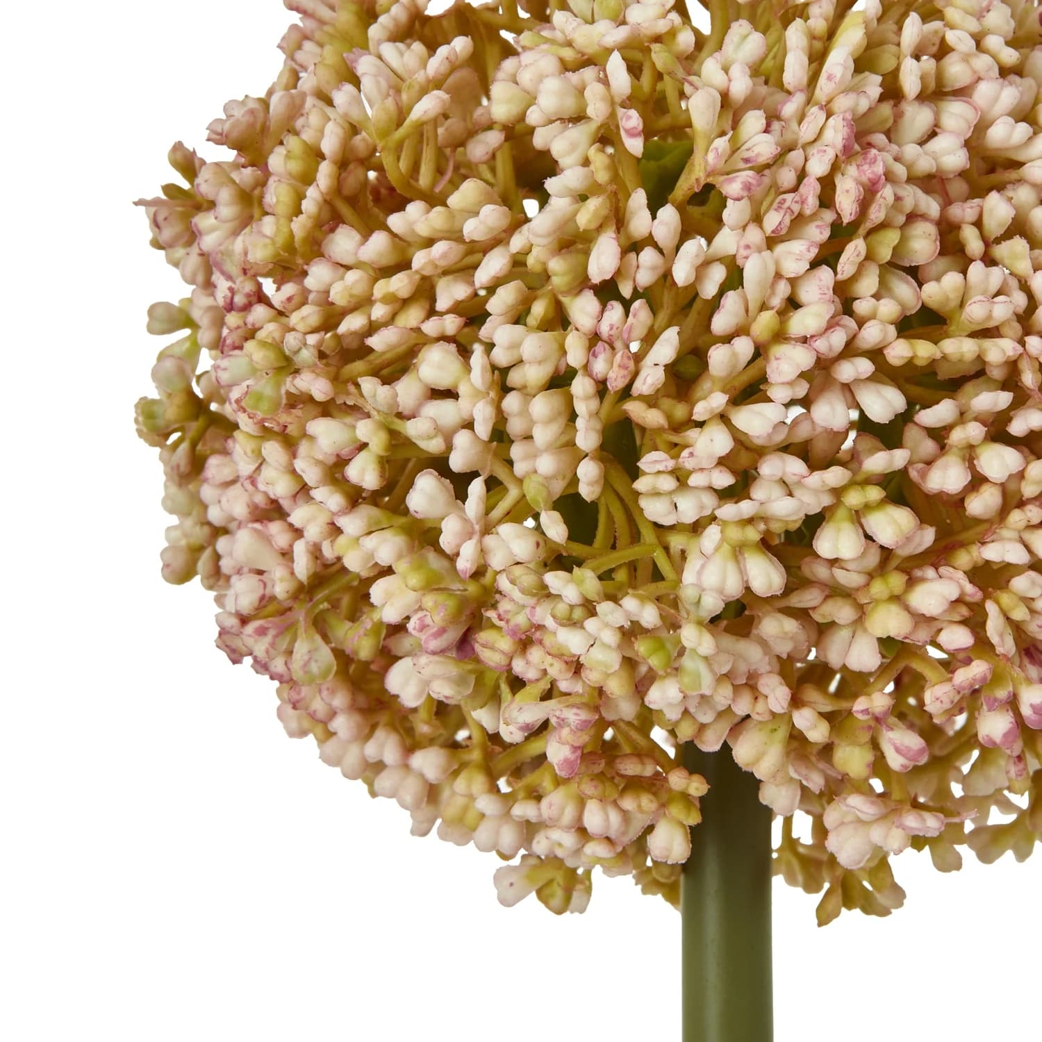 Pink Allium Stem — Pack of 5 - Artificial plants & flowers, photo 2 of 5
