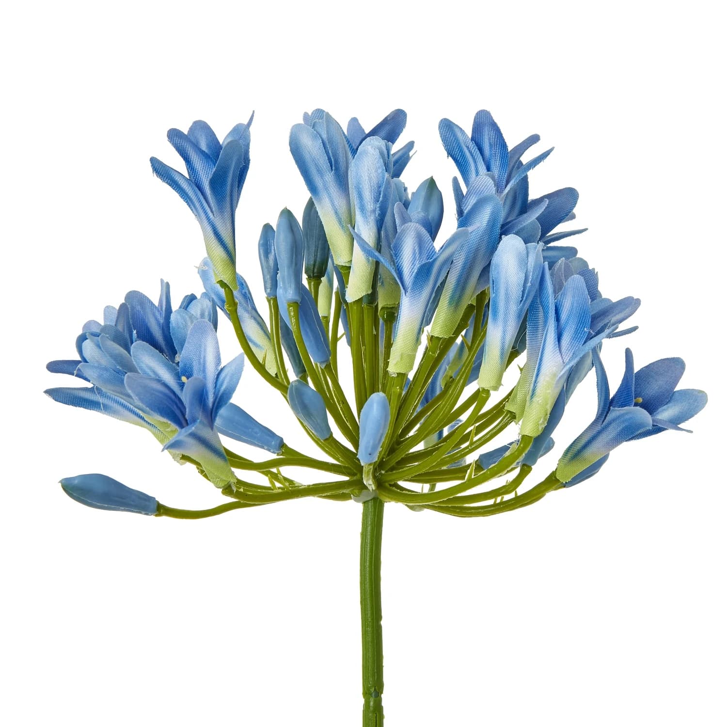 Blue Agapanthus Stem — Pack of 5 - Artificial plants & flowers, photo 2 of 5