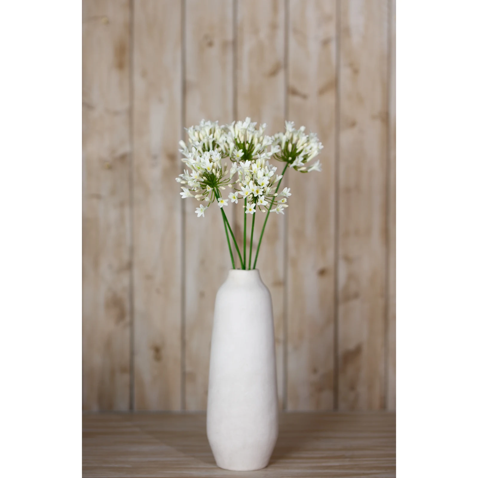Cream Agapanthus Spray — Pack of 5 - Artificial plants & flowers, photo 4 of 5