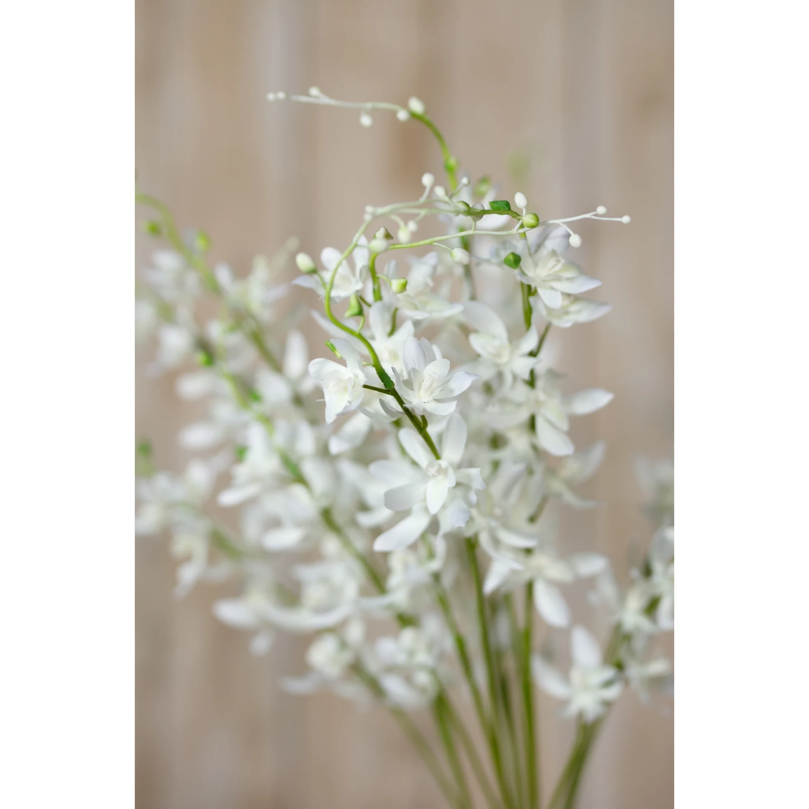White Cymbidium Spray — Pack of 5 - Artificial plants & flowers, photo 5 of 5