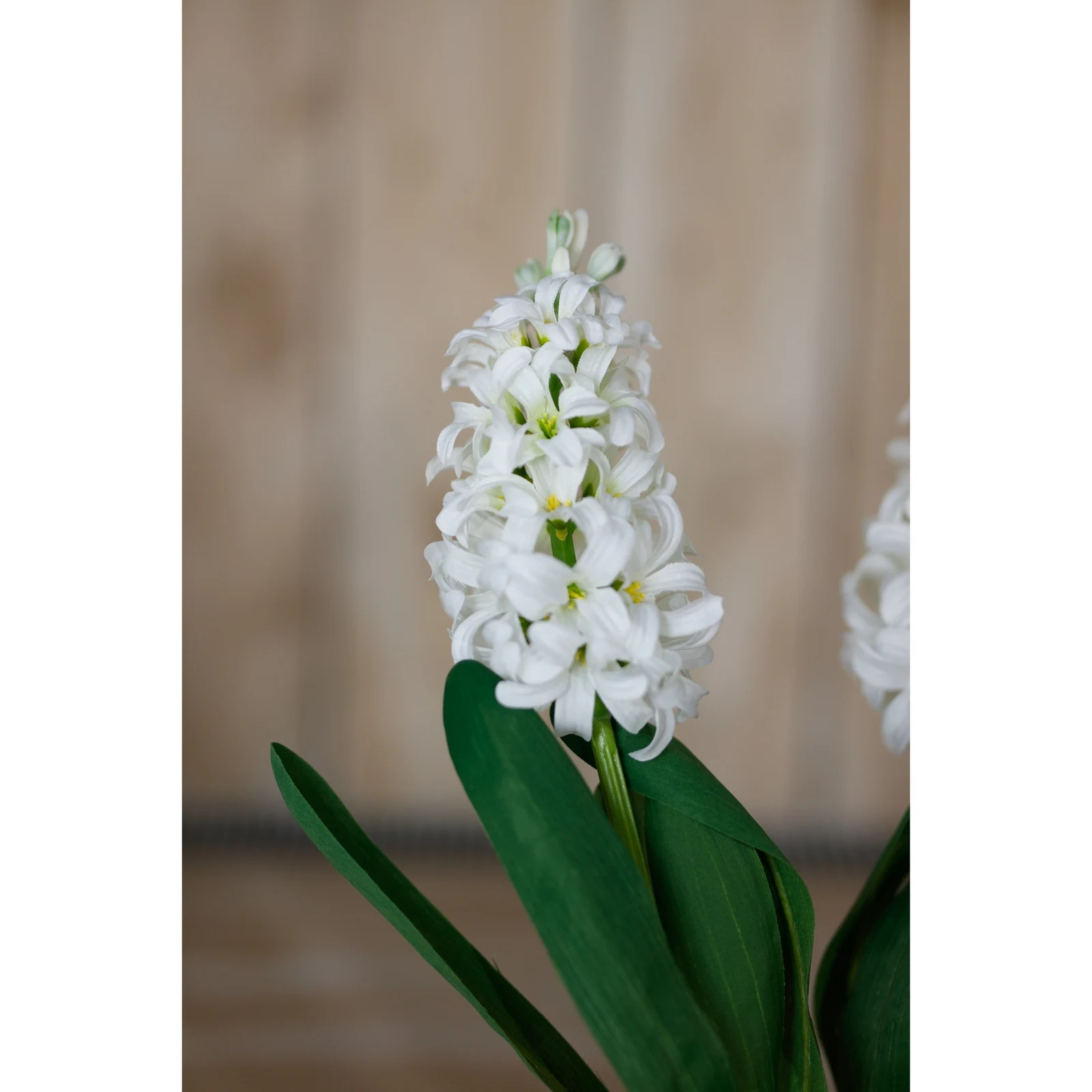 White Hyacinth Stem — Pack of 5 - Artificial plants & flowers, photo 5 of 5